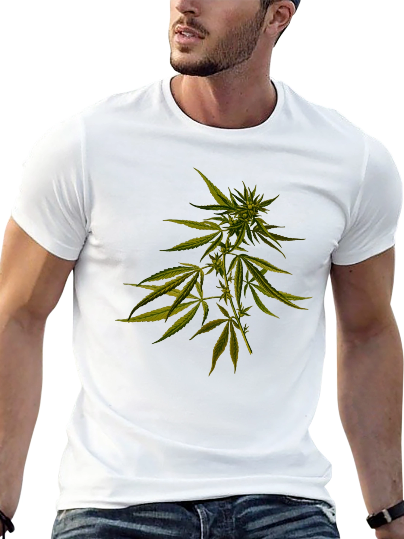 Cannabis Plant Graphic Black T-Shirt