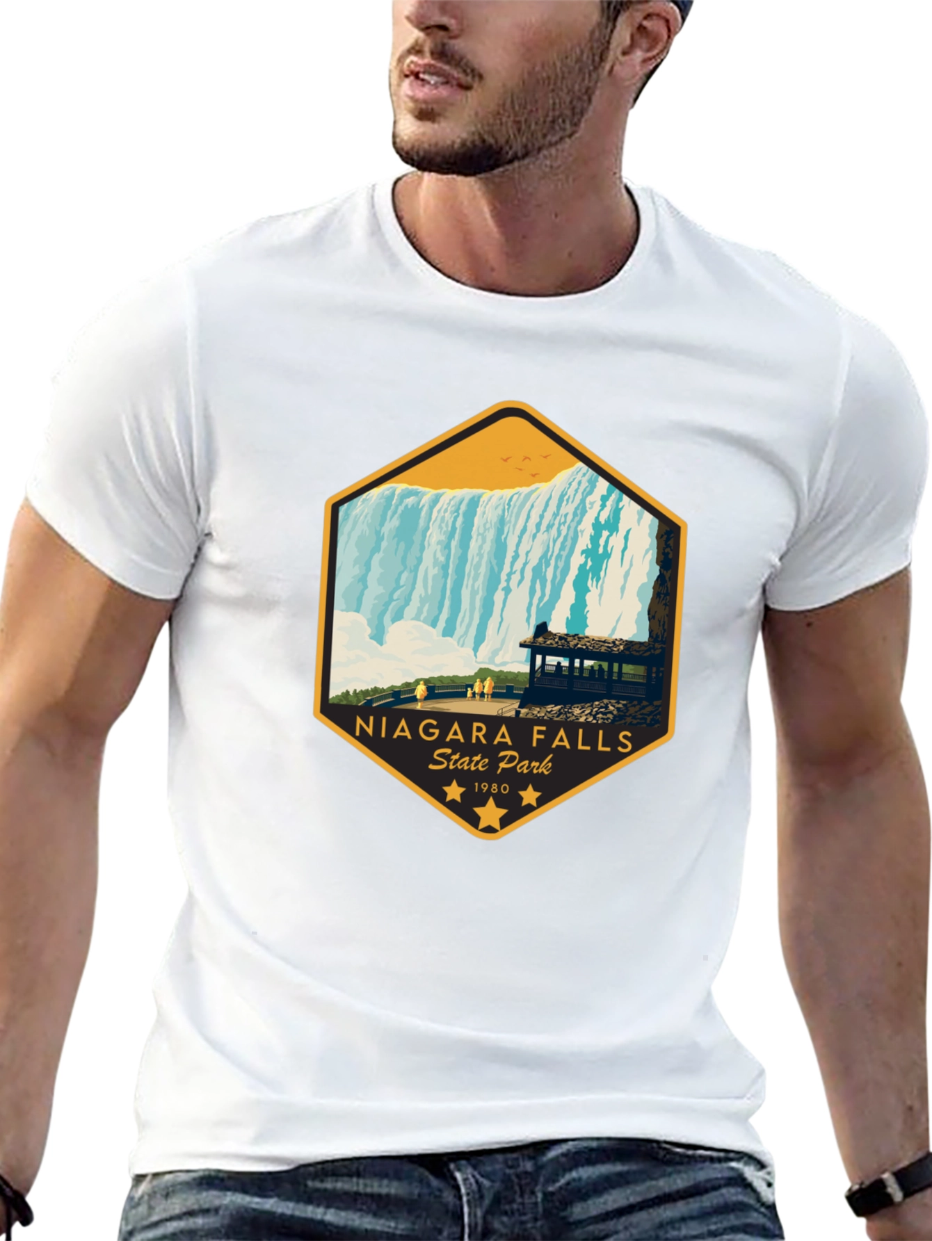 Niagara Falls State Park Graphic Tee