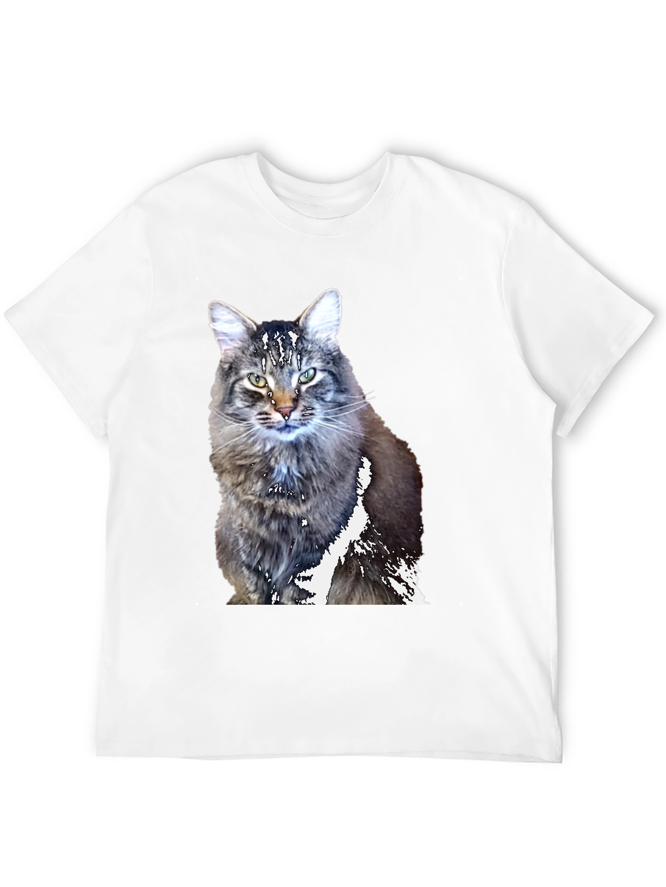 Cool Cat T-Shirt - Black