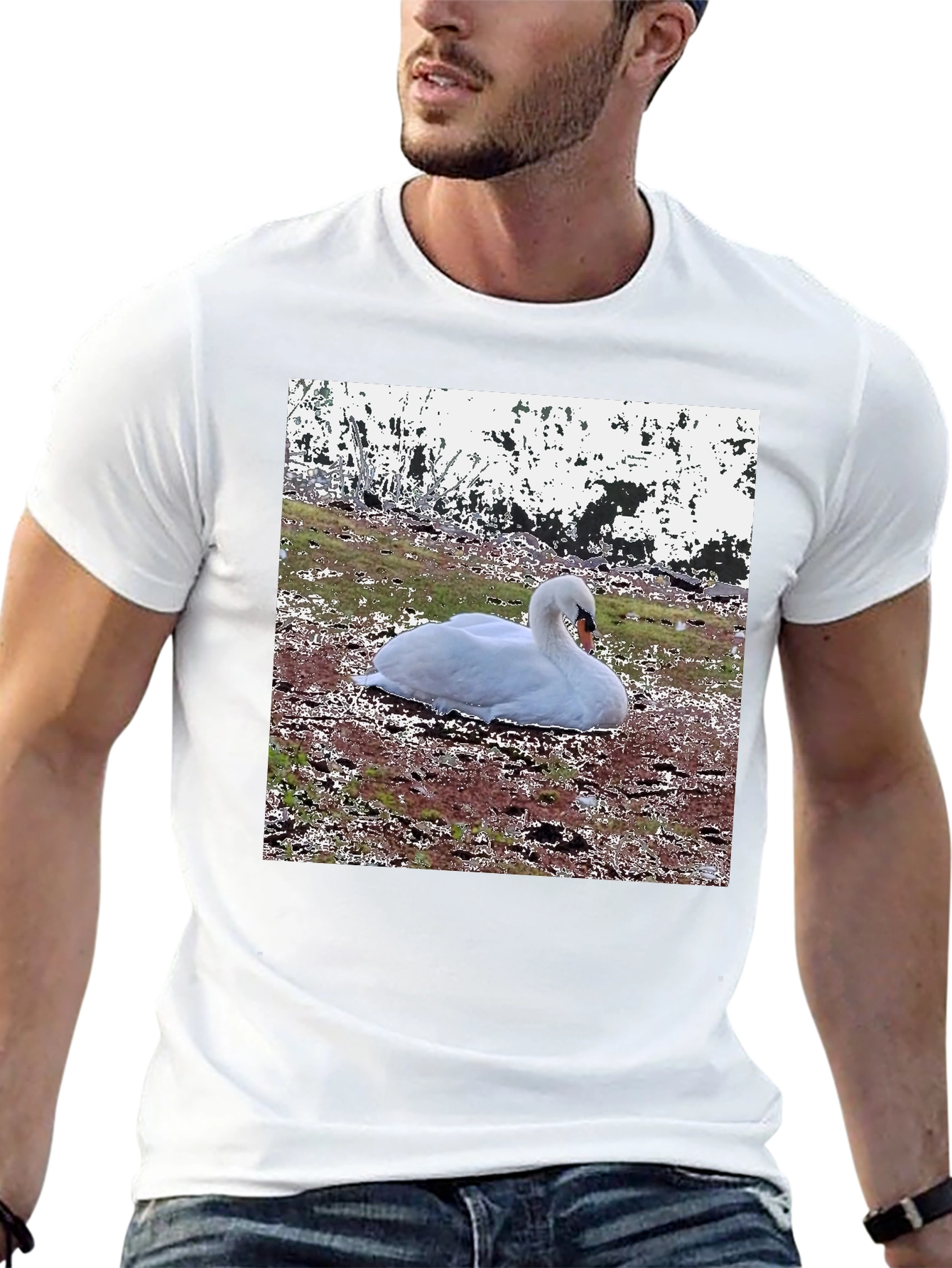 Swan Graphic Black T-Shirt