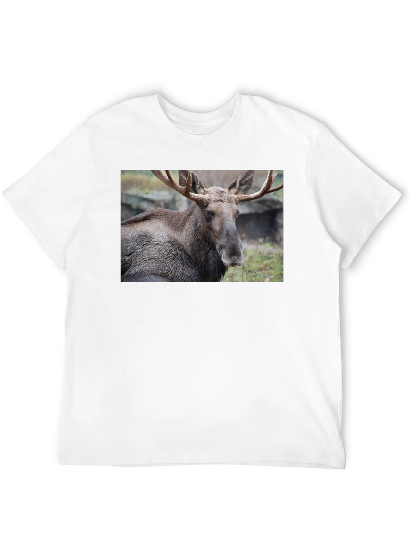 Moose Graphic T-Shirt - Wildlife Nature Tee