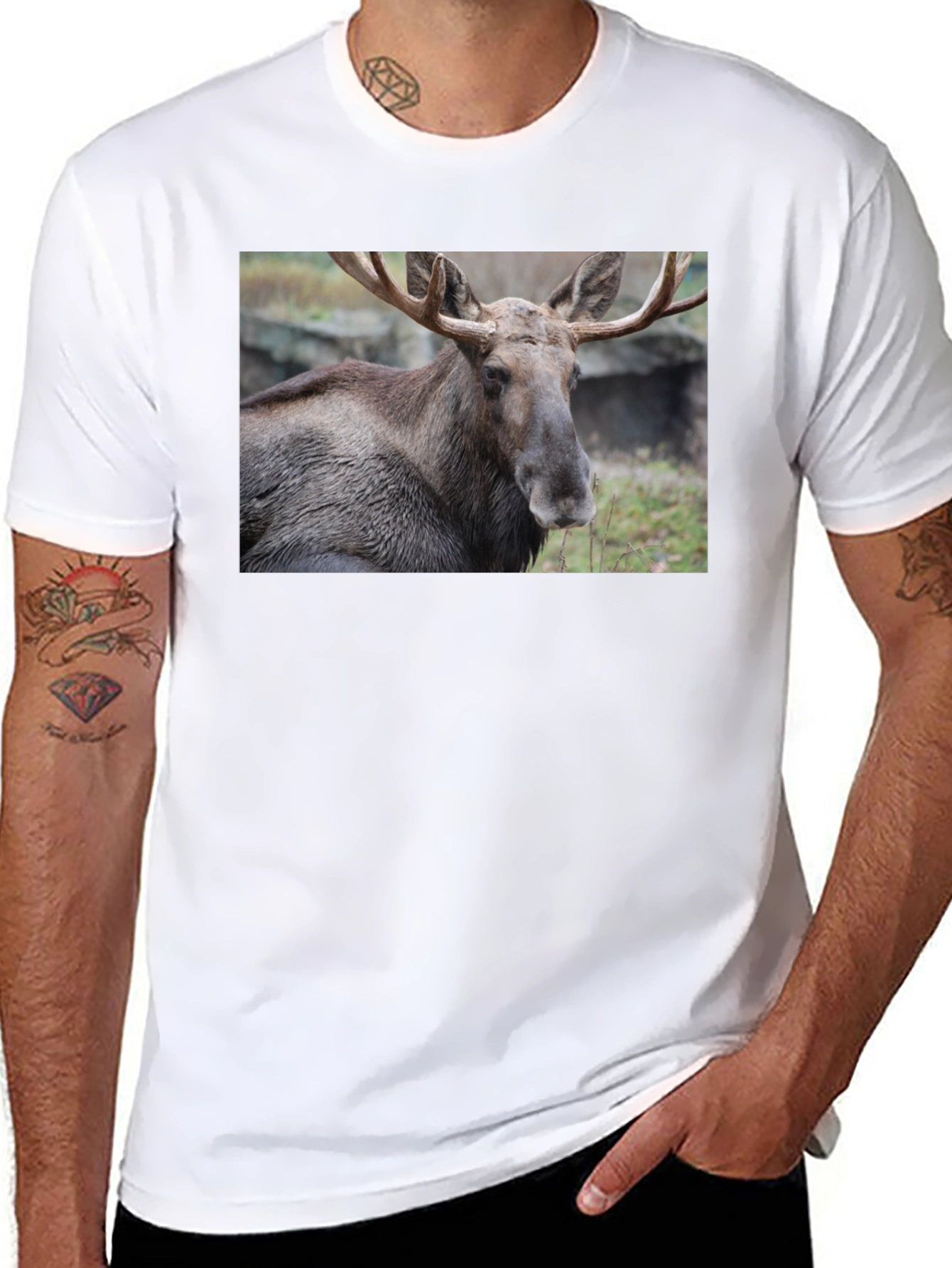 Moose Graphic T-Shirt - Wildlife Nature Tee