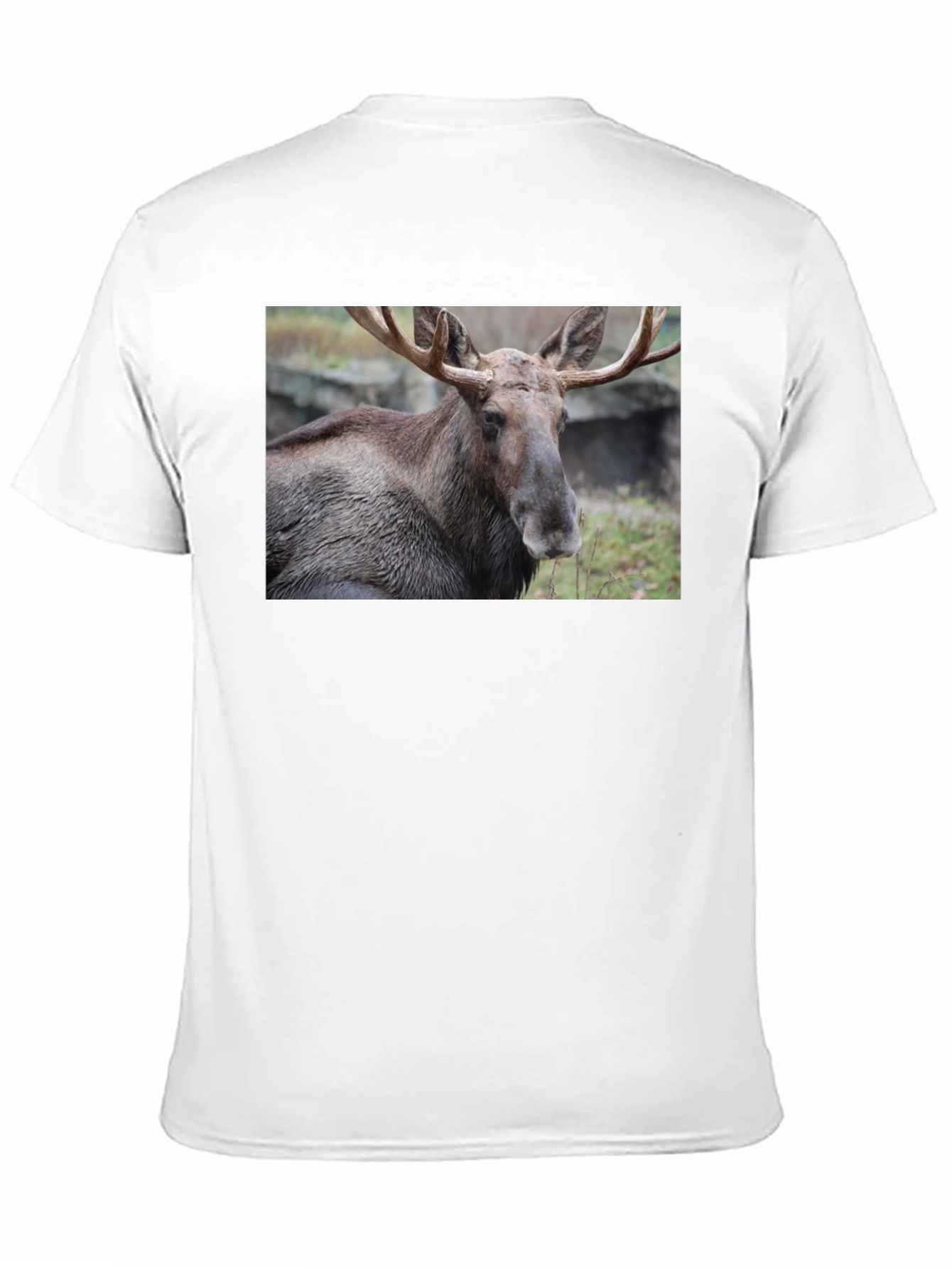 Moose Graphic T-Shirt - Wildlife Nature Tee