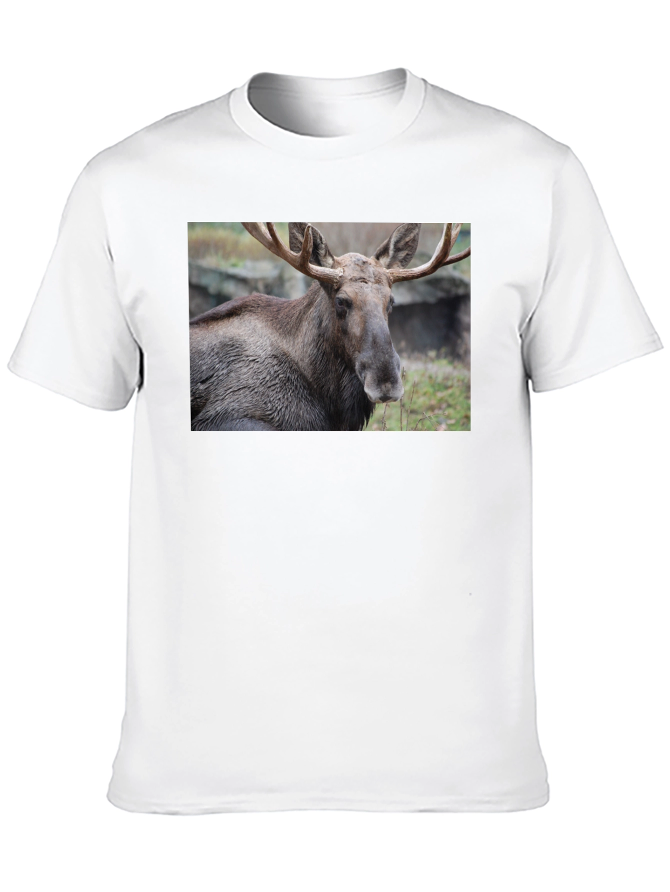 Moose Graphic T-Shirt - Wildlife Nature Tee