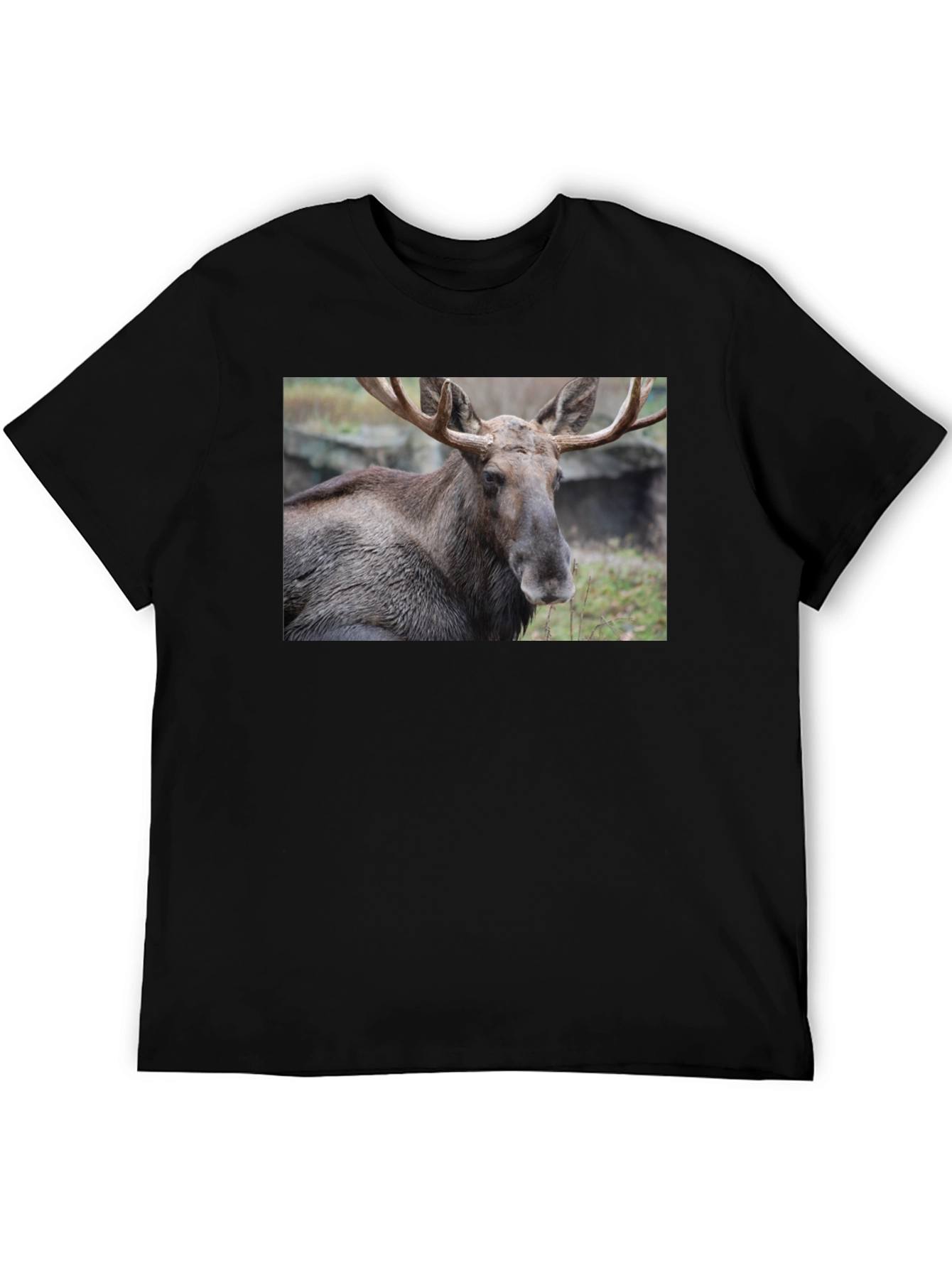 Moose Graphic T-Shirt - Wildlife Nature Tee