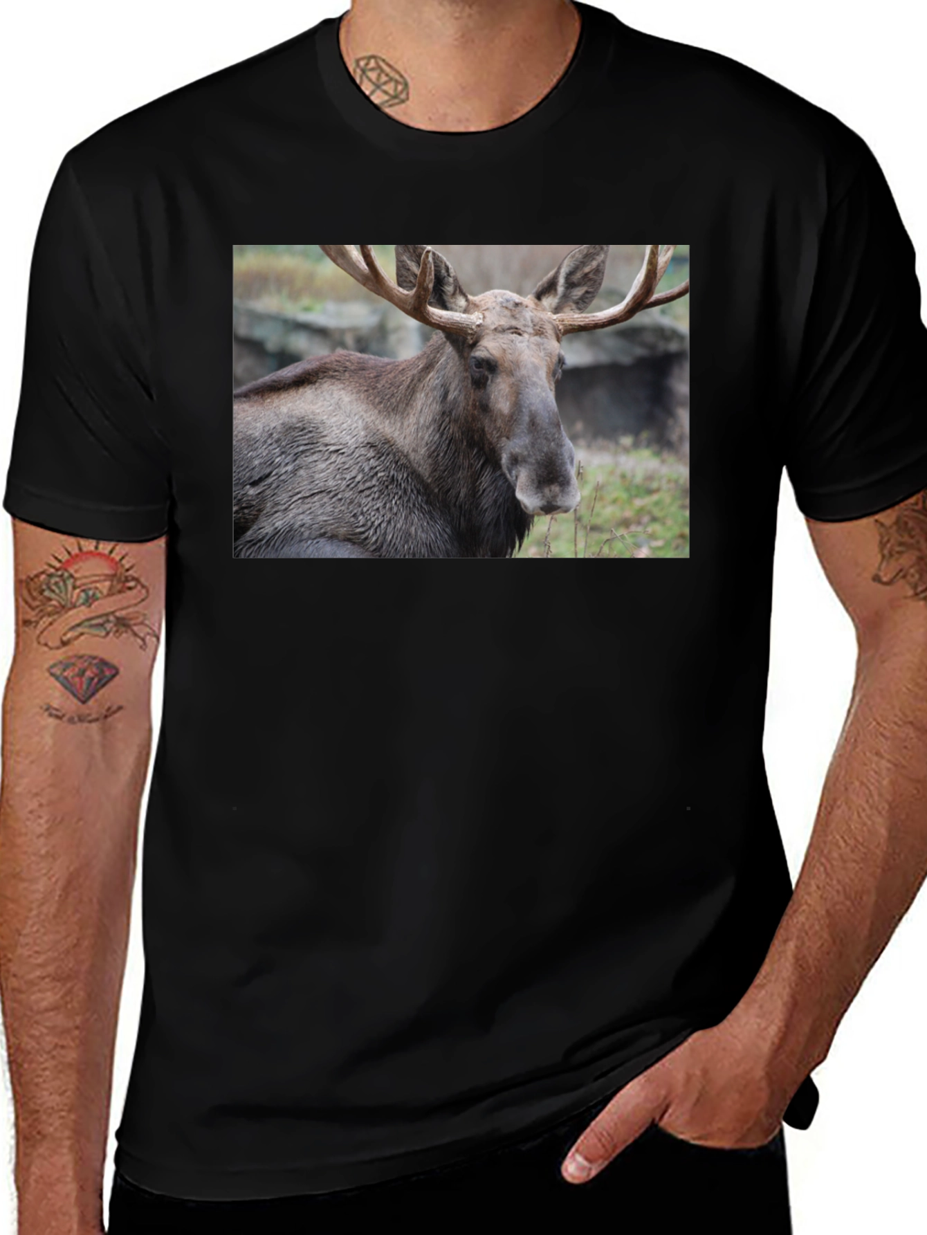 Moose Graphic T-Shirt - Wildlife Nature Tee