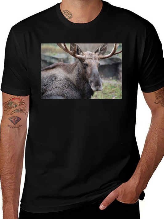 Moose Graphic T-Shirt - Wildlife Nature Tee