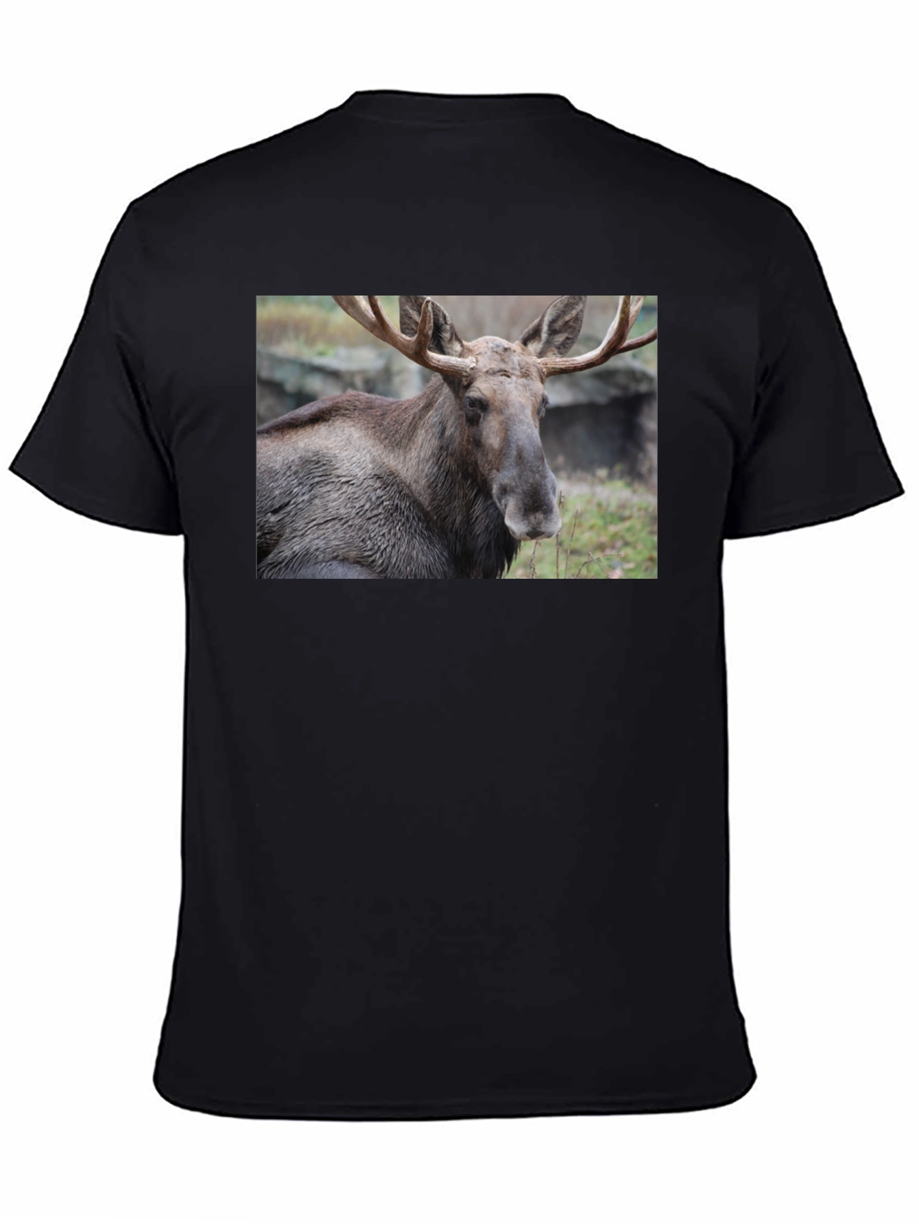Moose Graphic T-Shirt - Wildlife Nature Tee