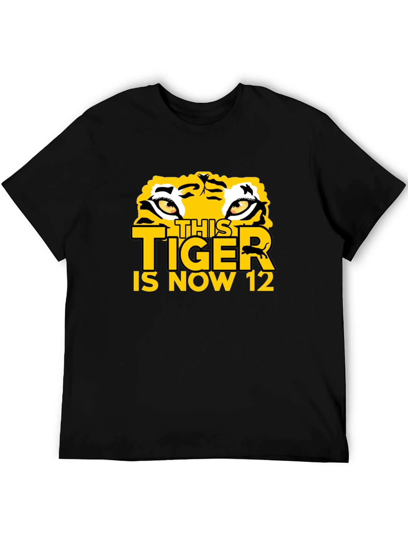 This Tiger Is Now 12 - Graphic T-Shirt
