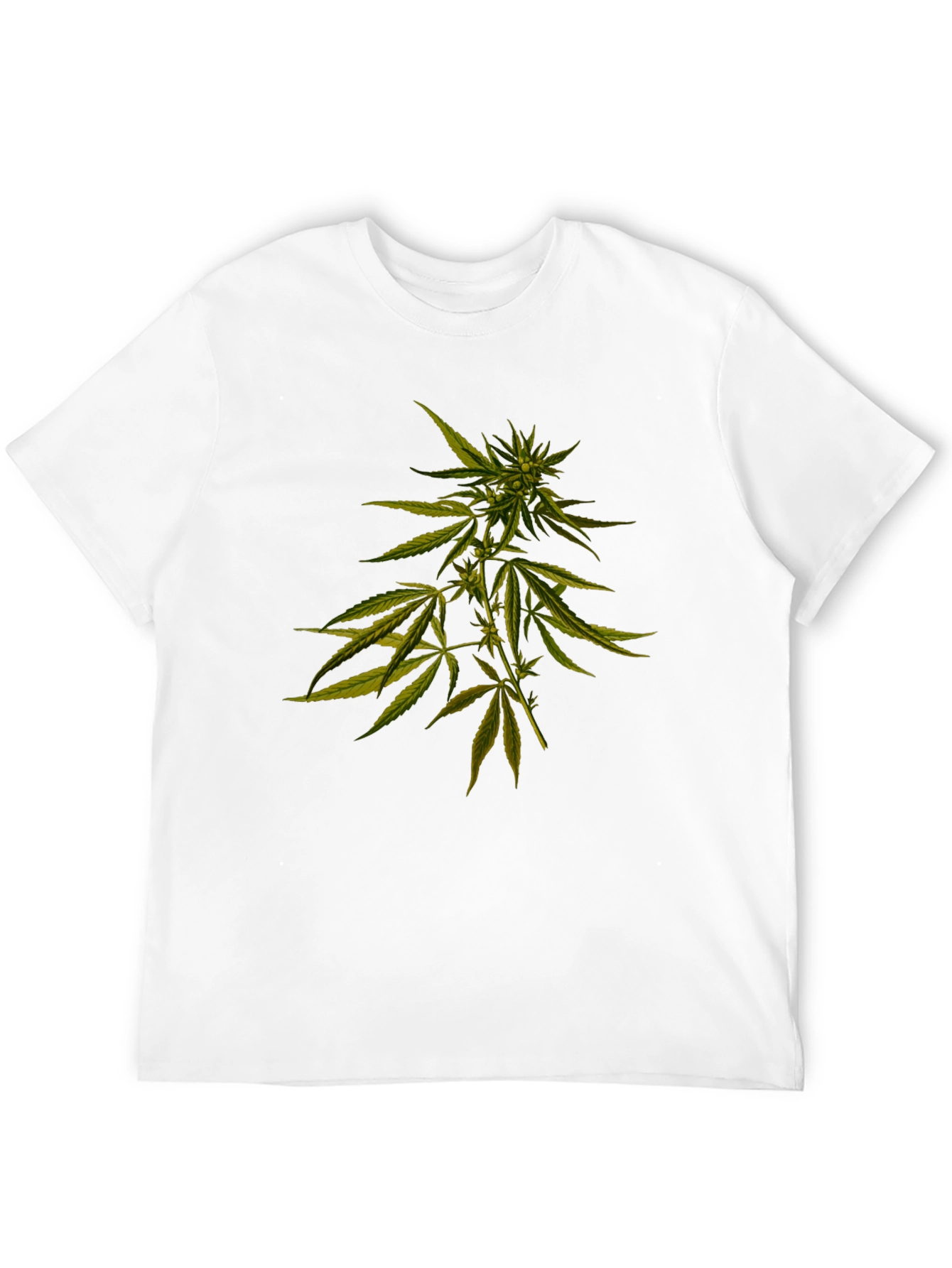 Cannabis Plant Graphic Black T-Shirt