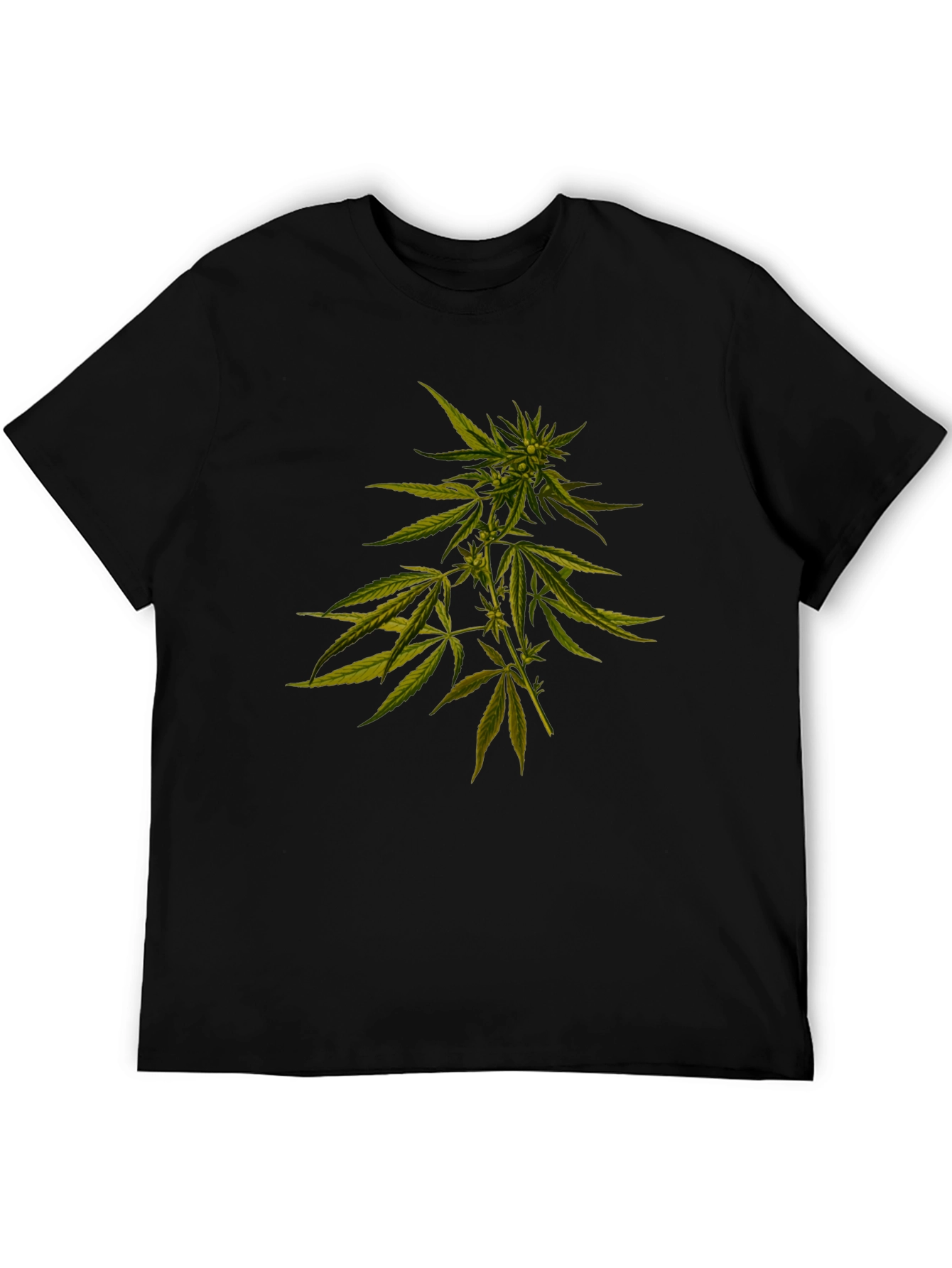 Cannabis Plant Graphic Black T-Shirt