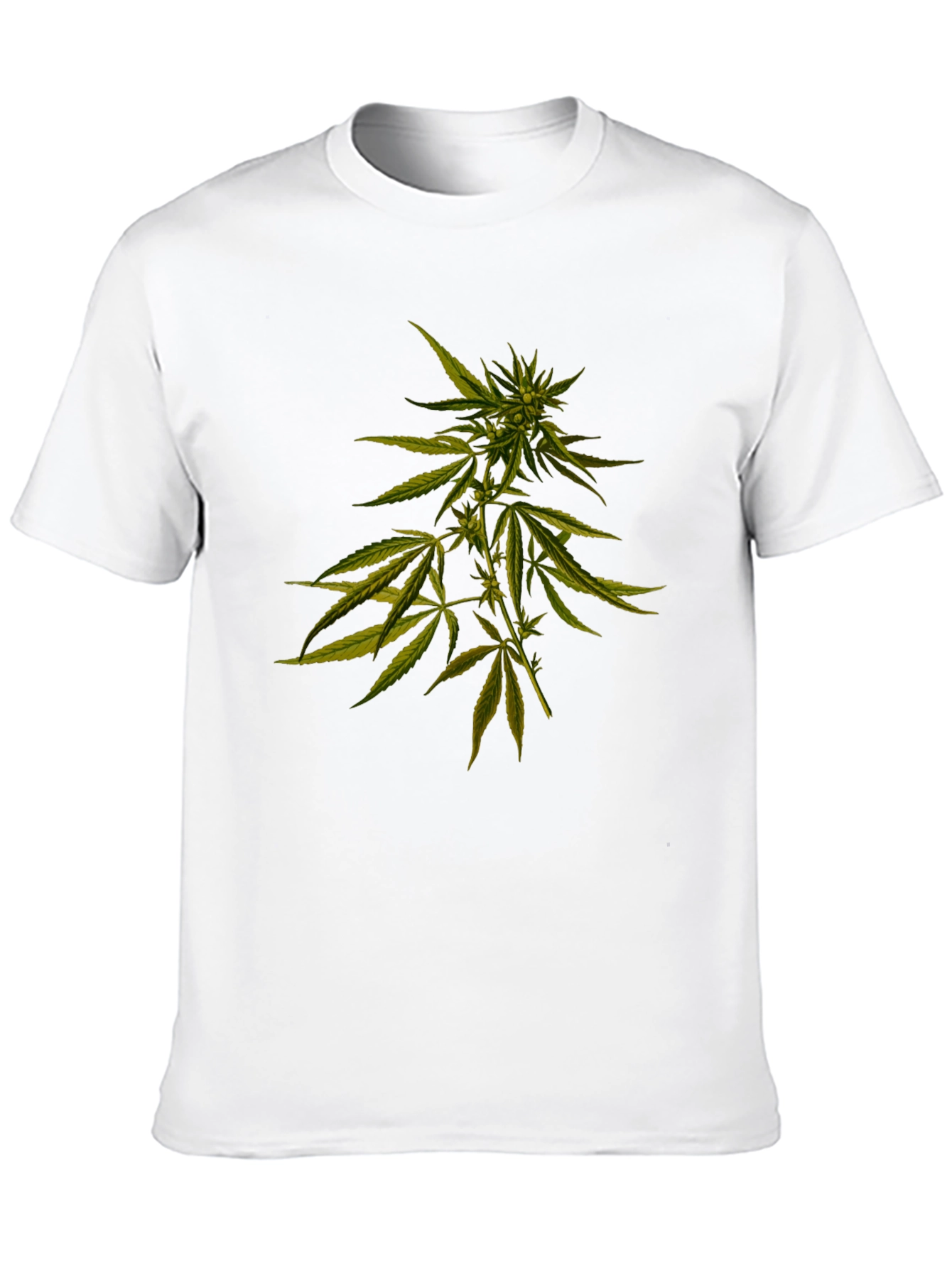 Cannabis Plant Graphic Black T-Shirt