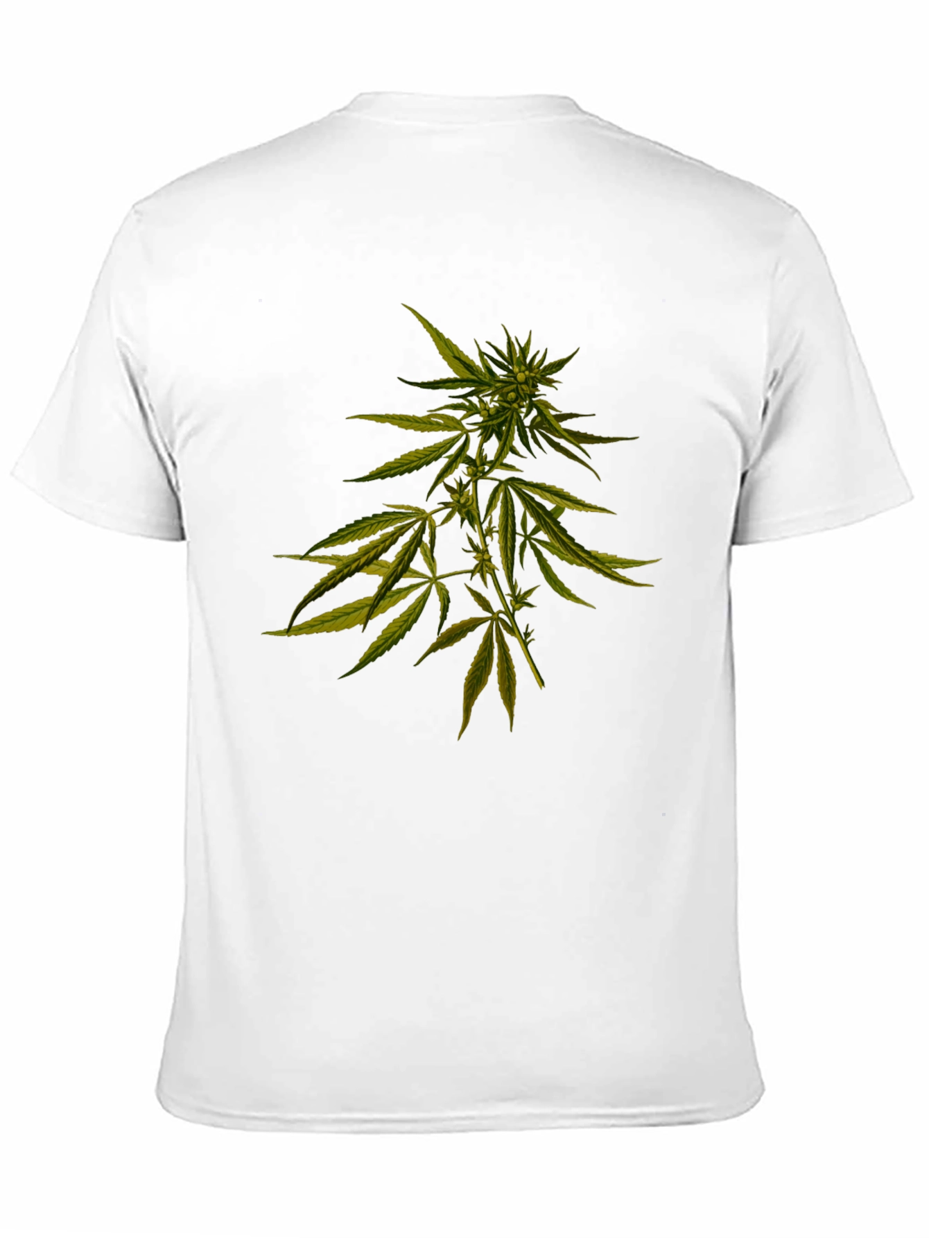 Cannabis Plant Graphic Black T-Shirt