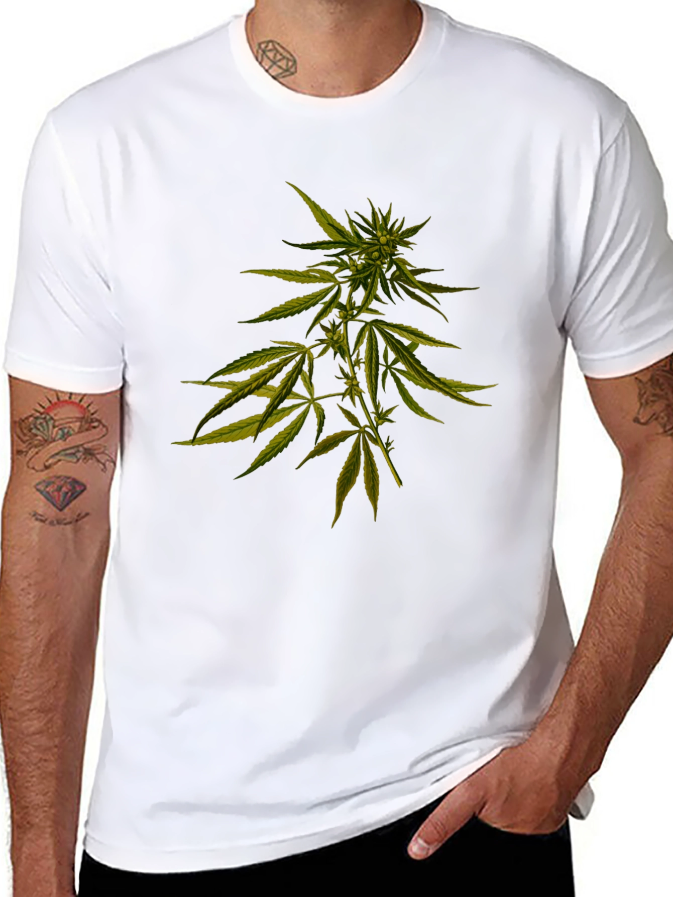 Cannabis Plant Graphic Black T-Shirt