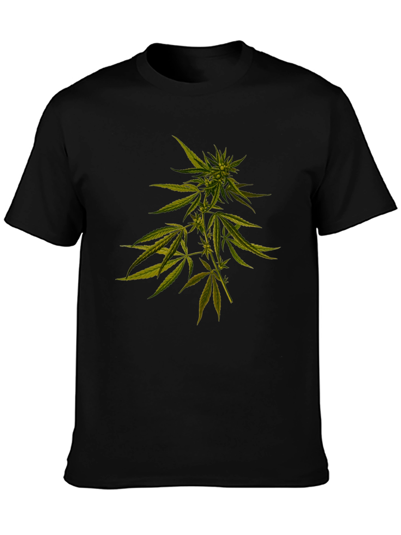 Cannabis Plant Graphic Black T-Shirt