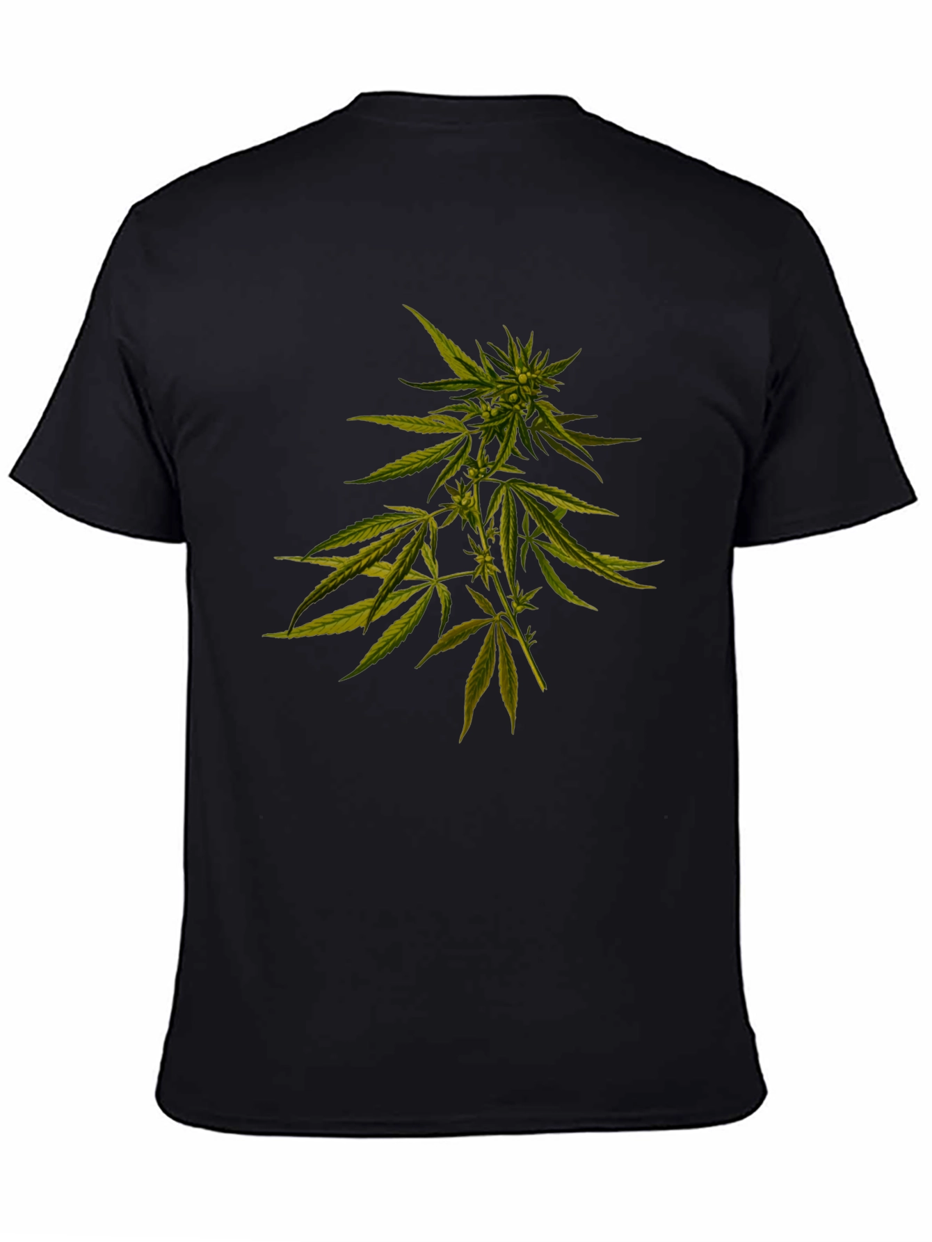 Cannabis Plant Graphic Black T-Shirt