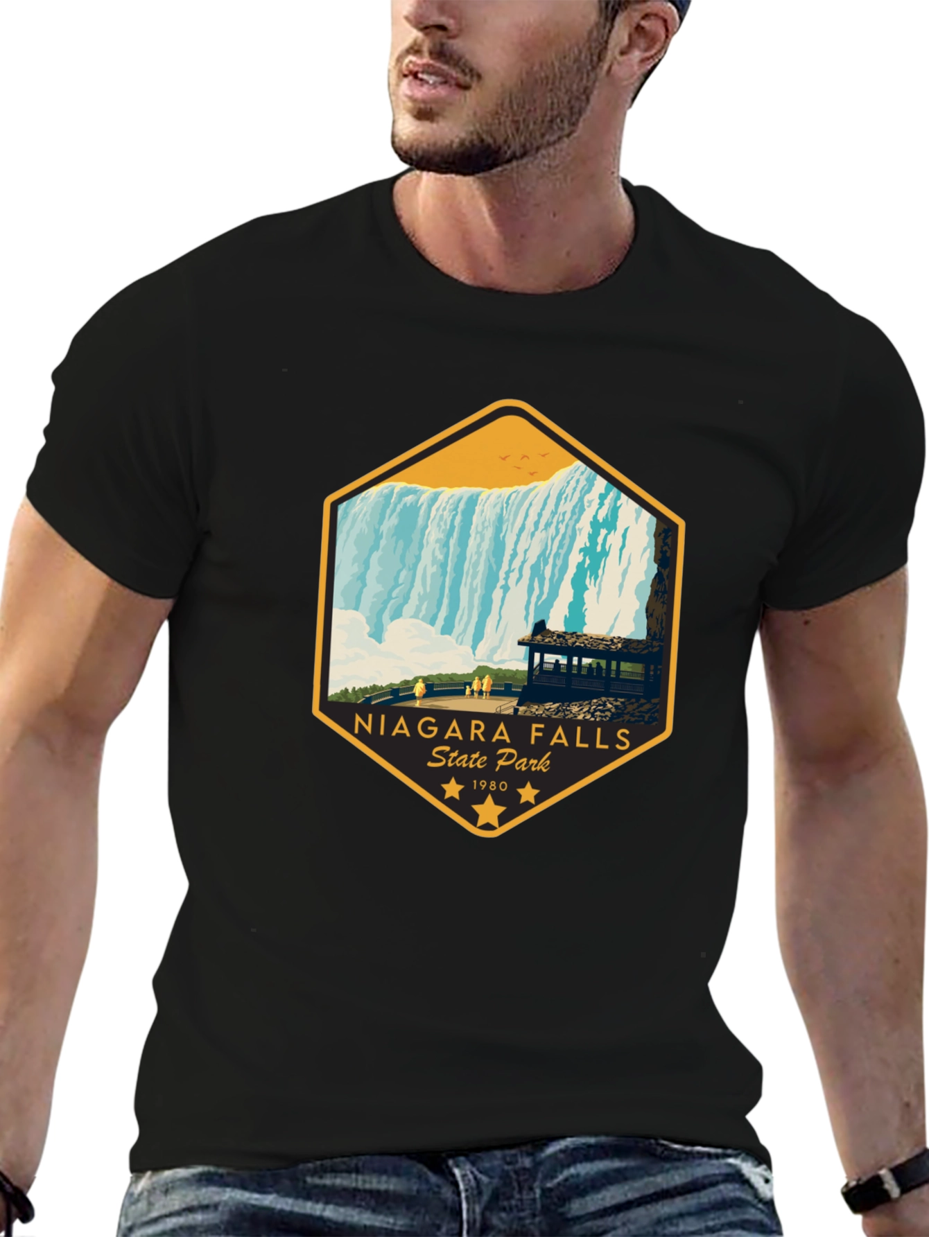 Niagara Falls State Park Graphic Tee