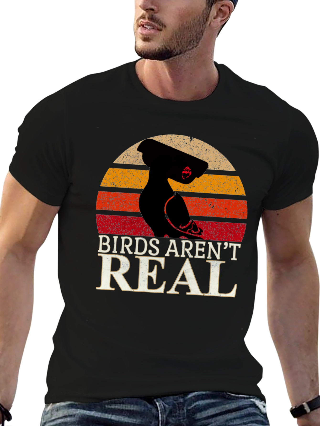 Birds Arent Real Conspiracy T-Shirt
