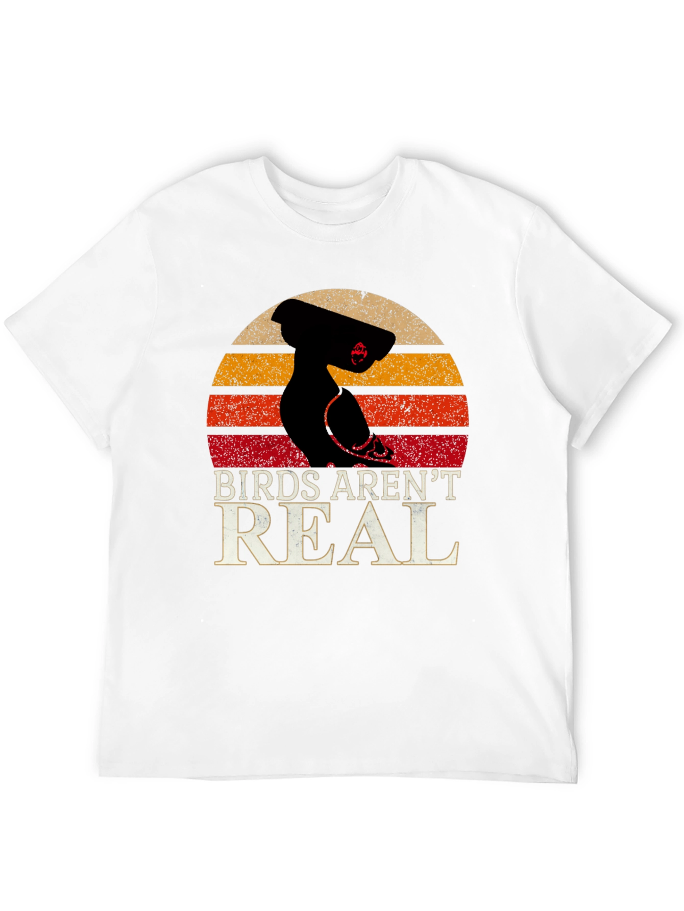 Birds Arent Real Conspiracy T-Shirt
