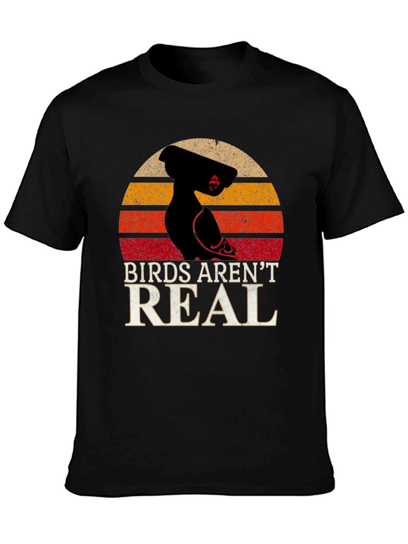 Birds Arent Real Conspiracy T-Shirt
