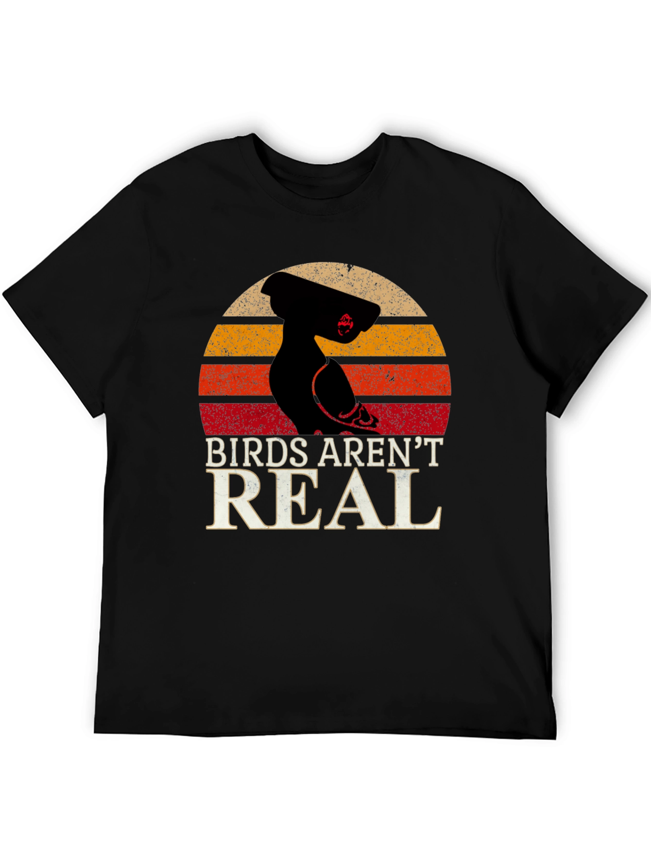Birds Arent Real Conspiracy T-Shirt