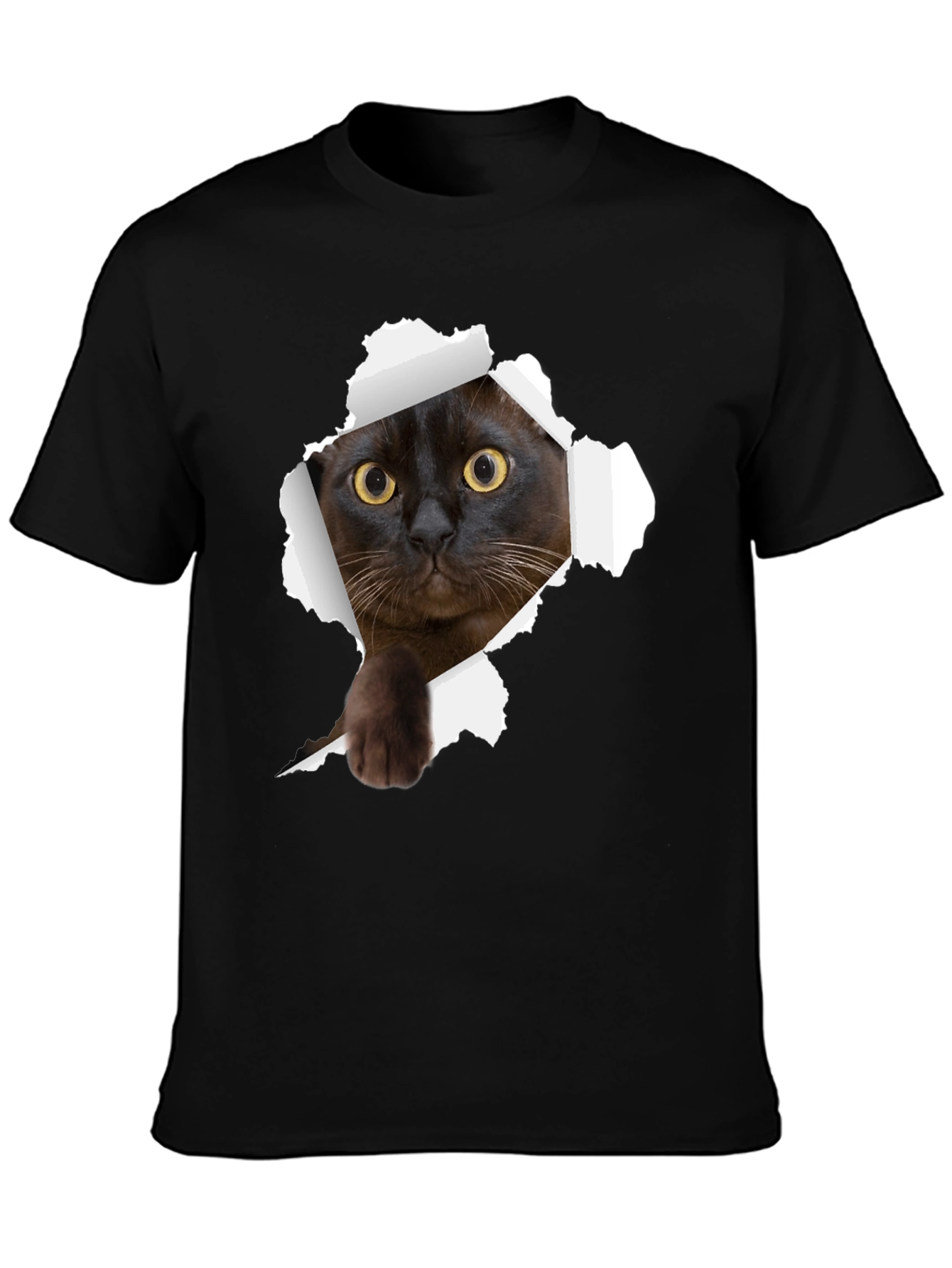 Black Cat Peek-a-Boo Graphic T-Shirt