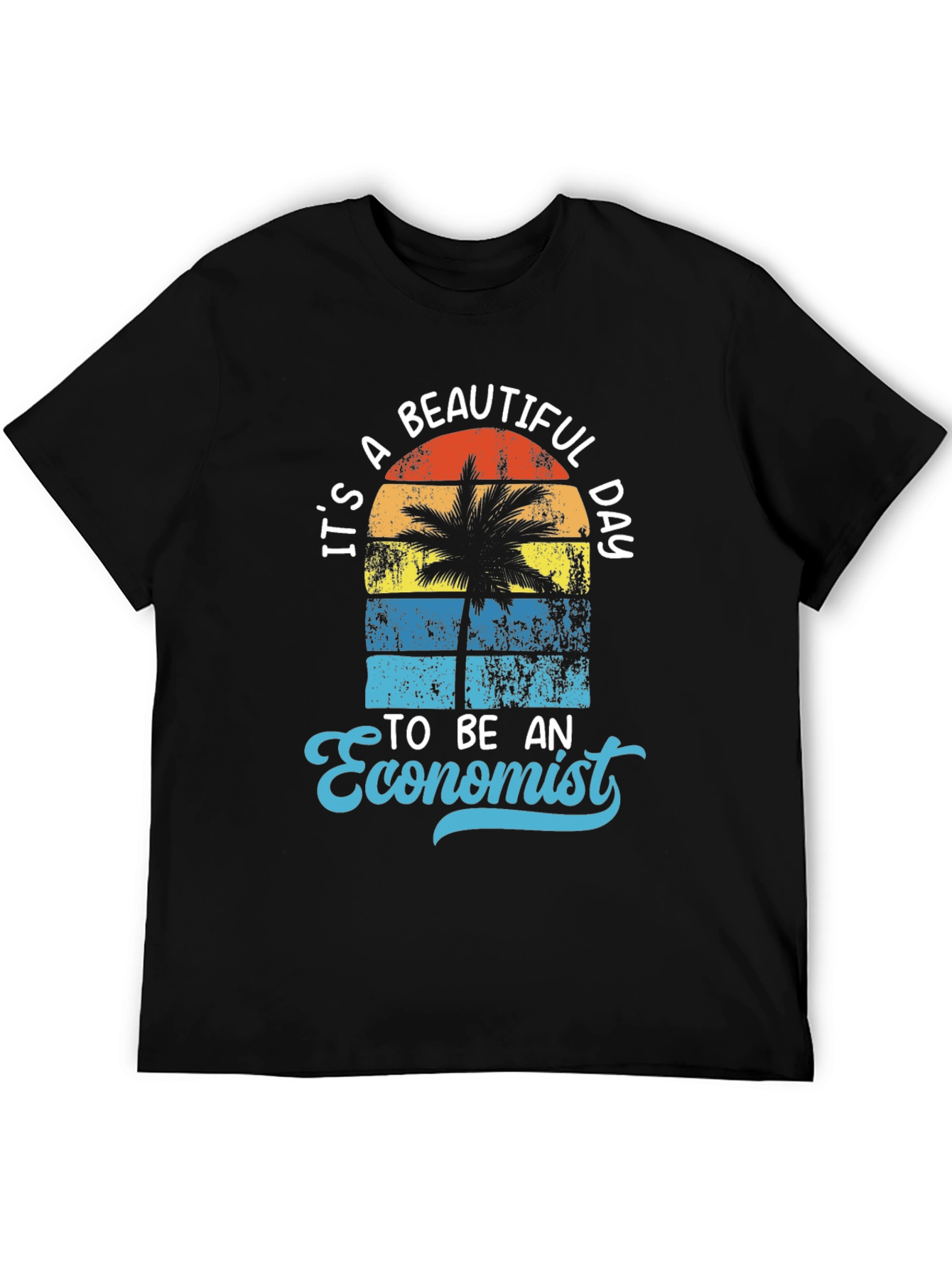 Its a Beautiful Day to be an Economist T-Shirt