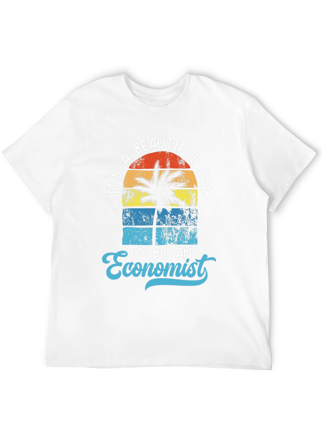 Its a Beautiful Day to be an Economist T-Shirt