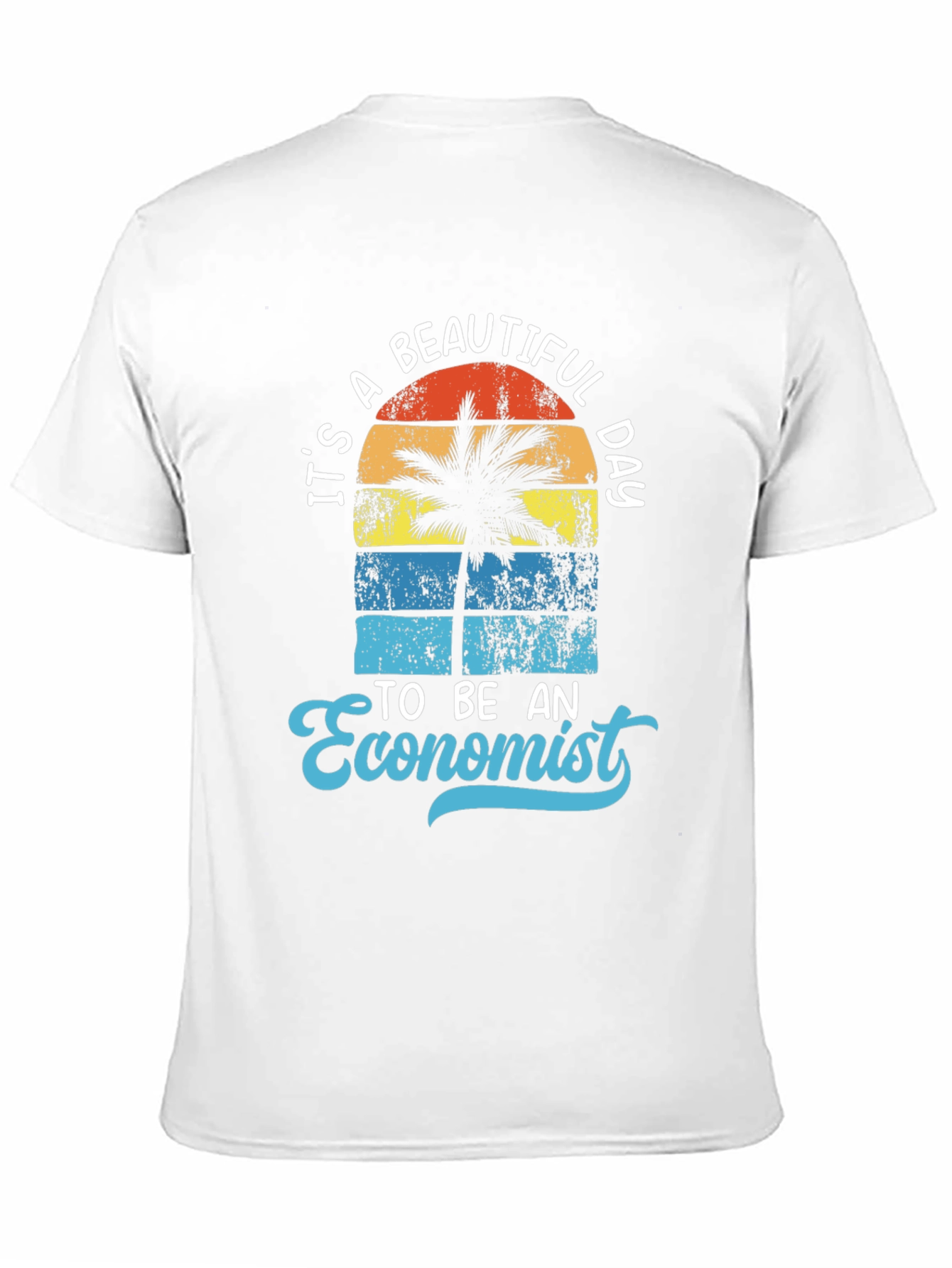 Its a Beautiful Day to be an Economist T-Shirt