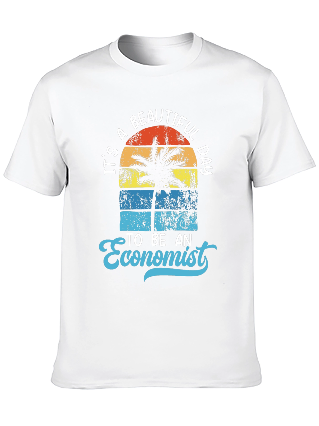 Its a Beautiful Day to be an Economist T-Shirt