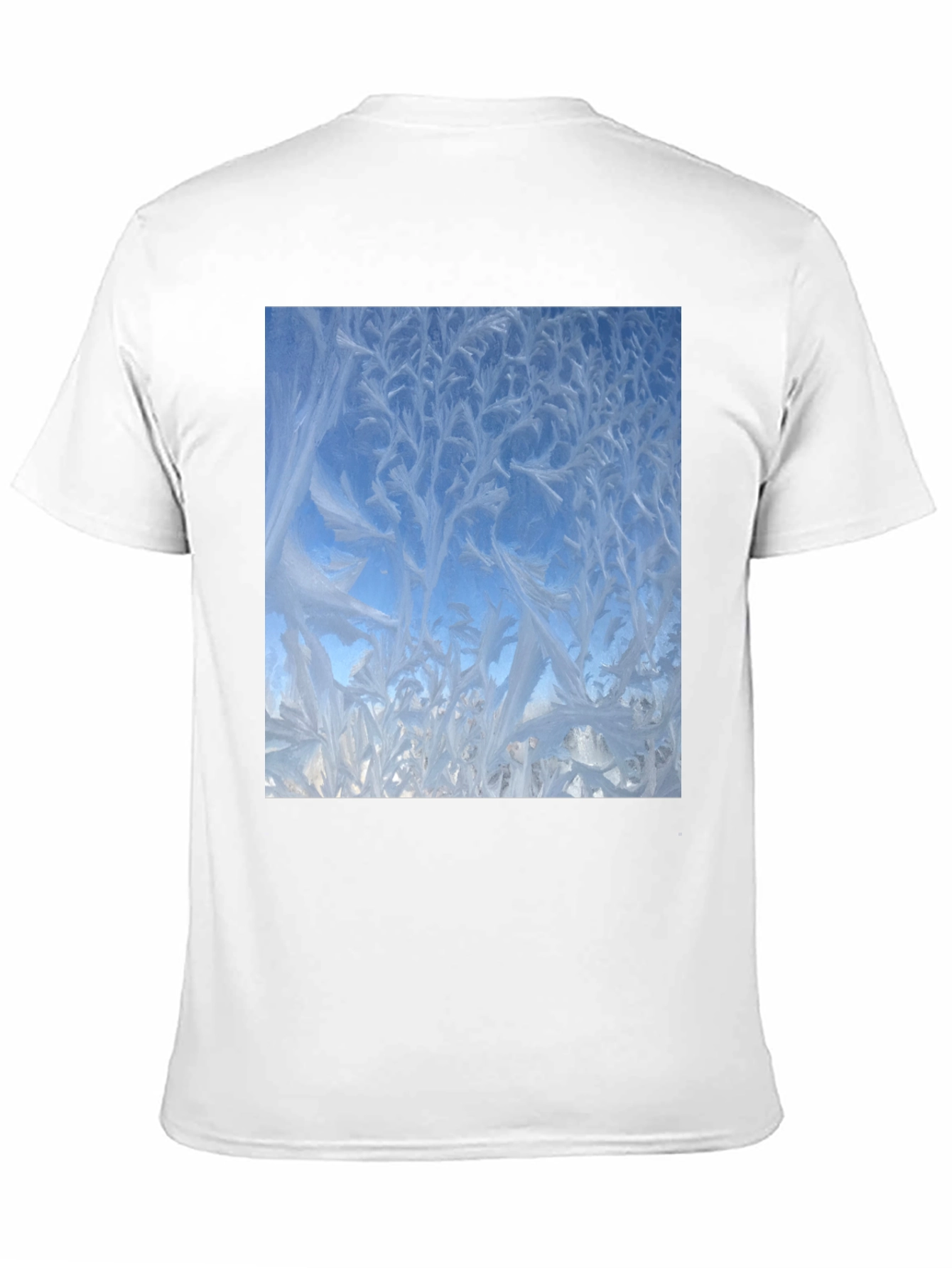 Winter Window Frost Print T-Shirt - Black