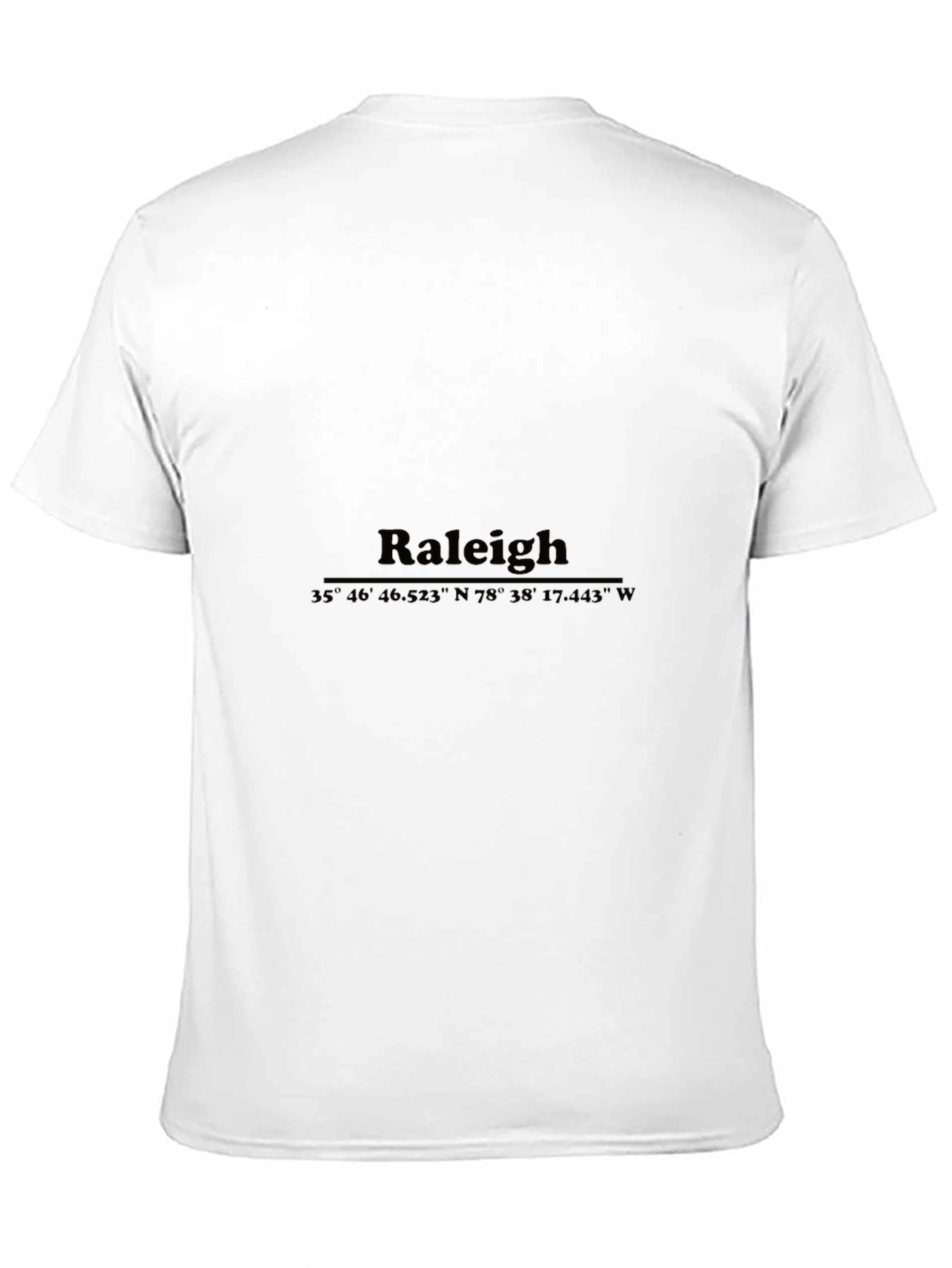 Raleigh Coordinates Graphic T-Shirt