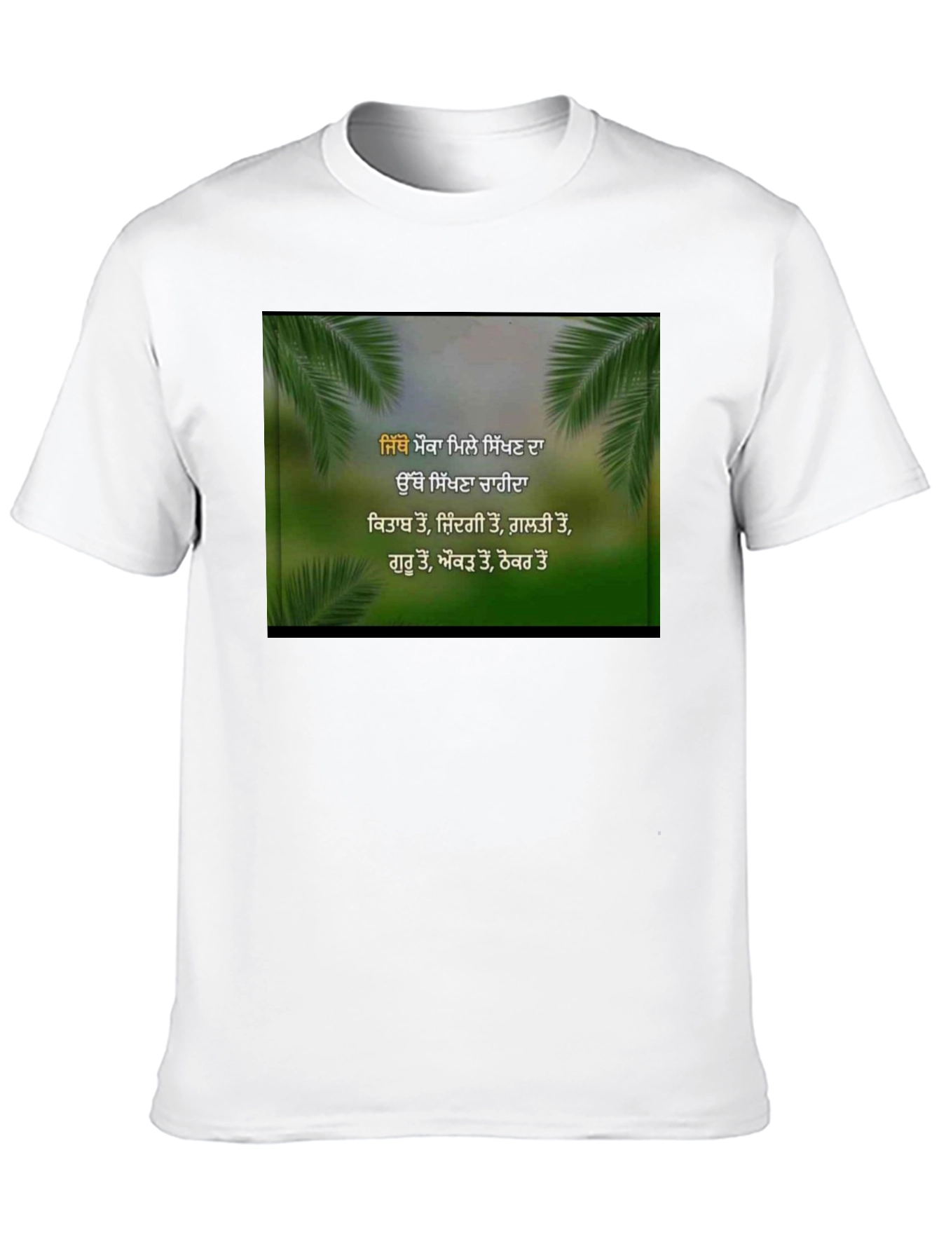 Inspirational Punjabi T-Shirt