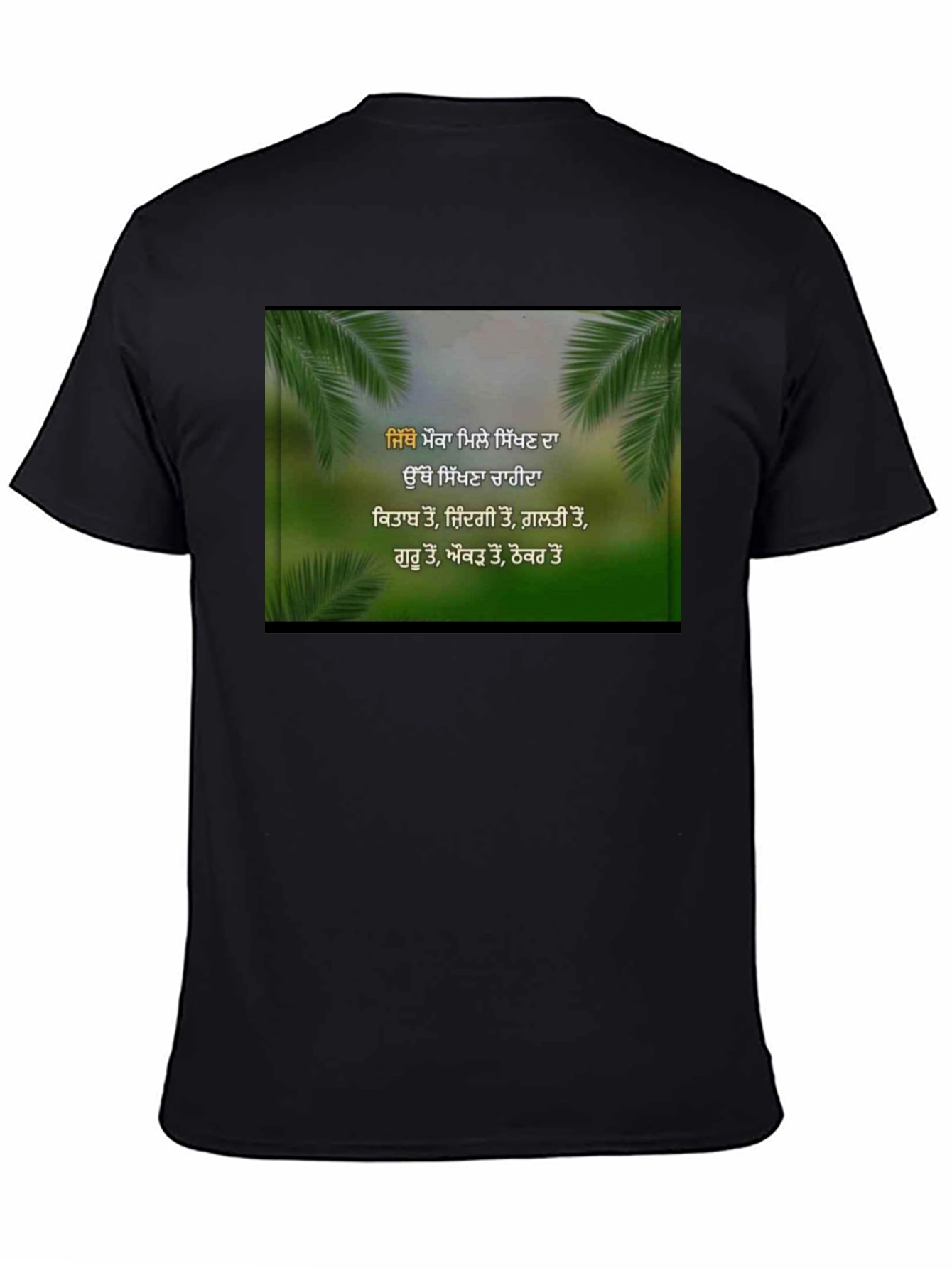 Inspirational Punjabi T-Shirt