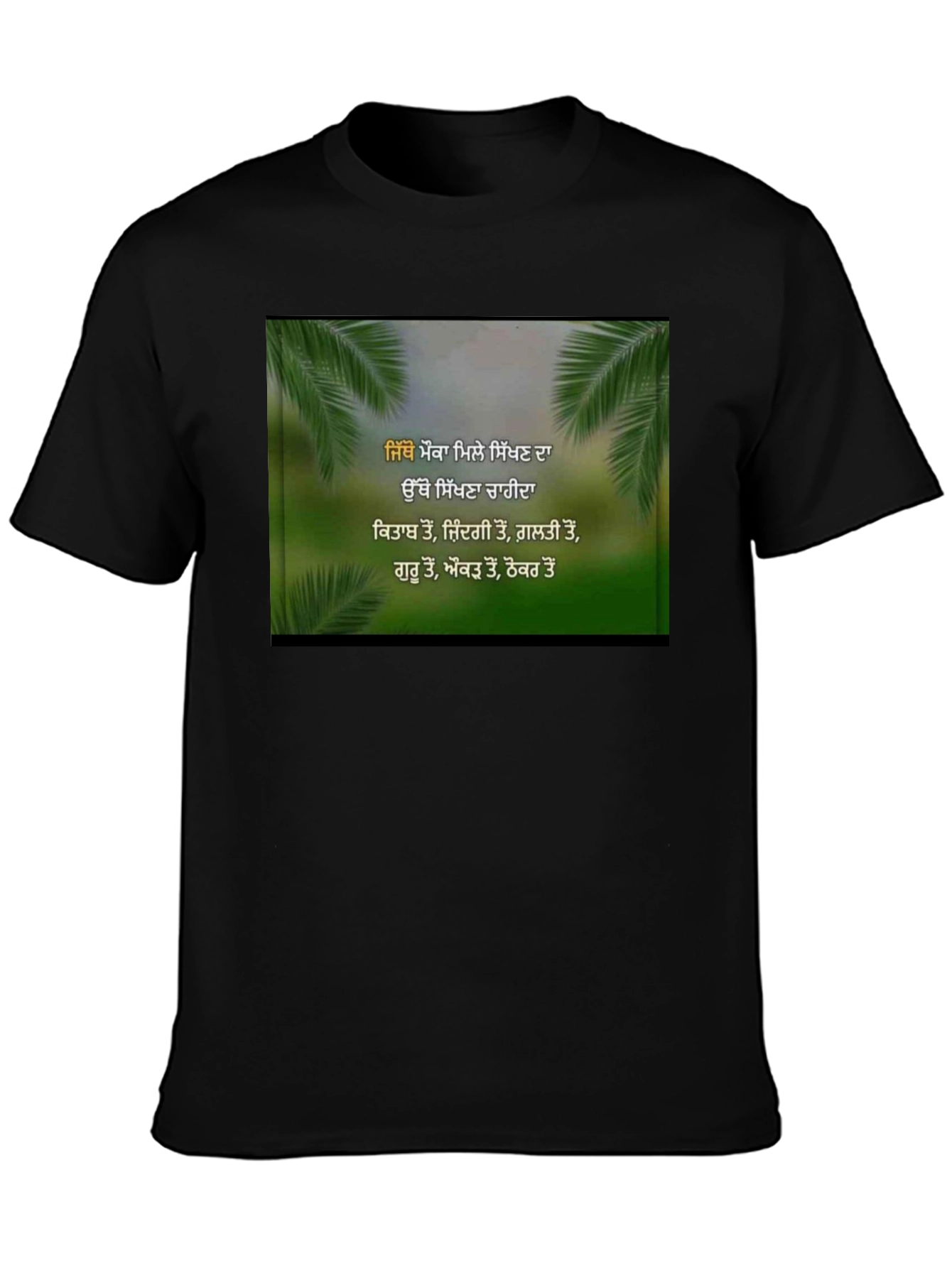 Inspirational Punjabi T-Shirt
