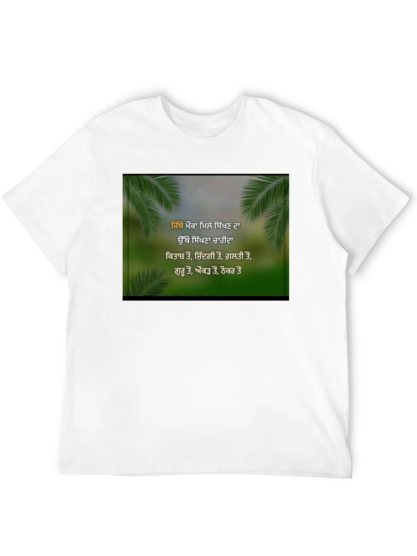 Inspirational Punjabi T-Shirt