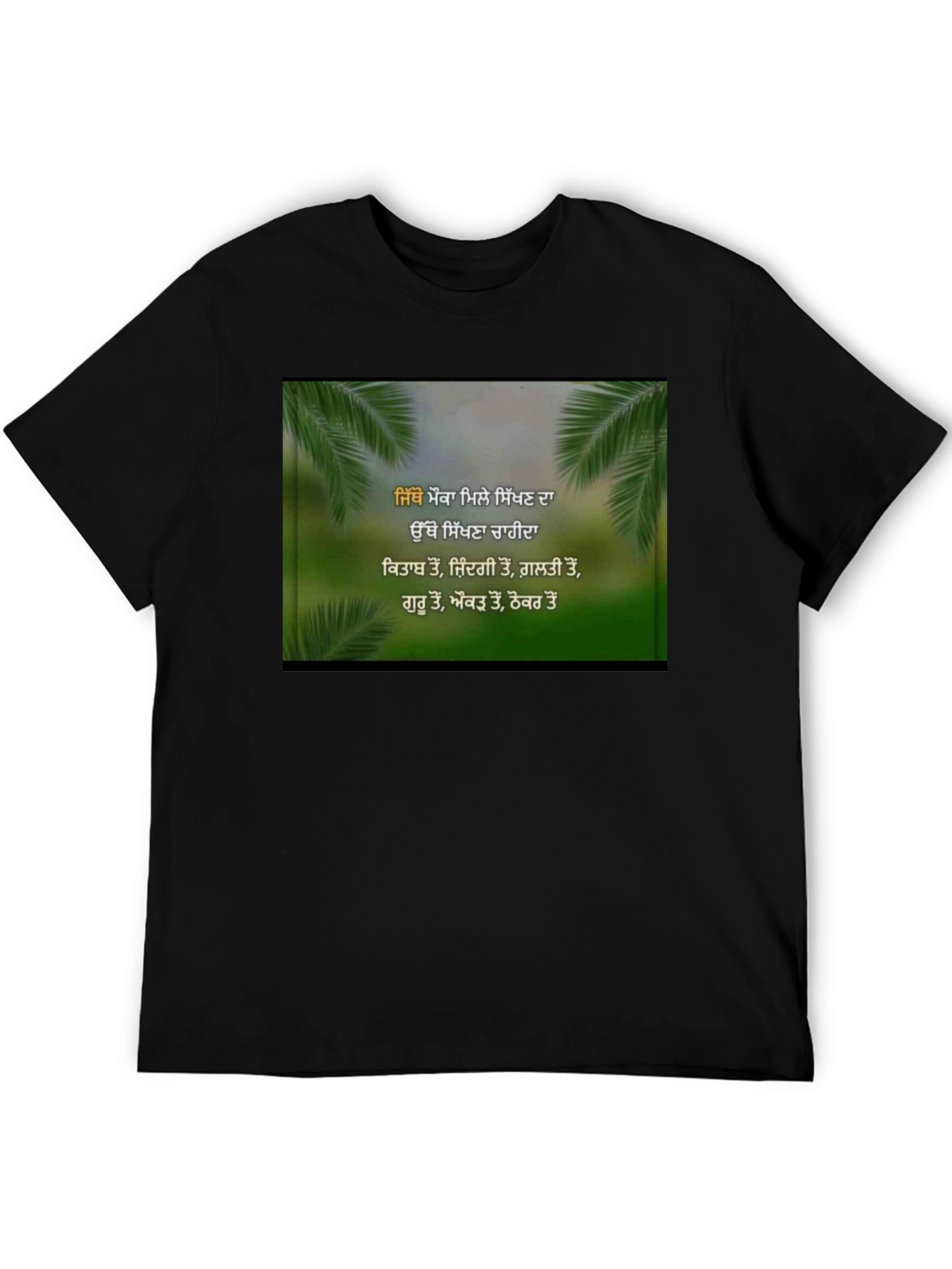 Inspirational Punjabi T-Shirt