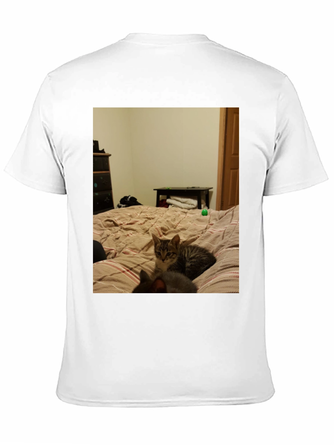 Cat Nap T-Shirt