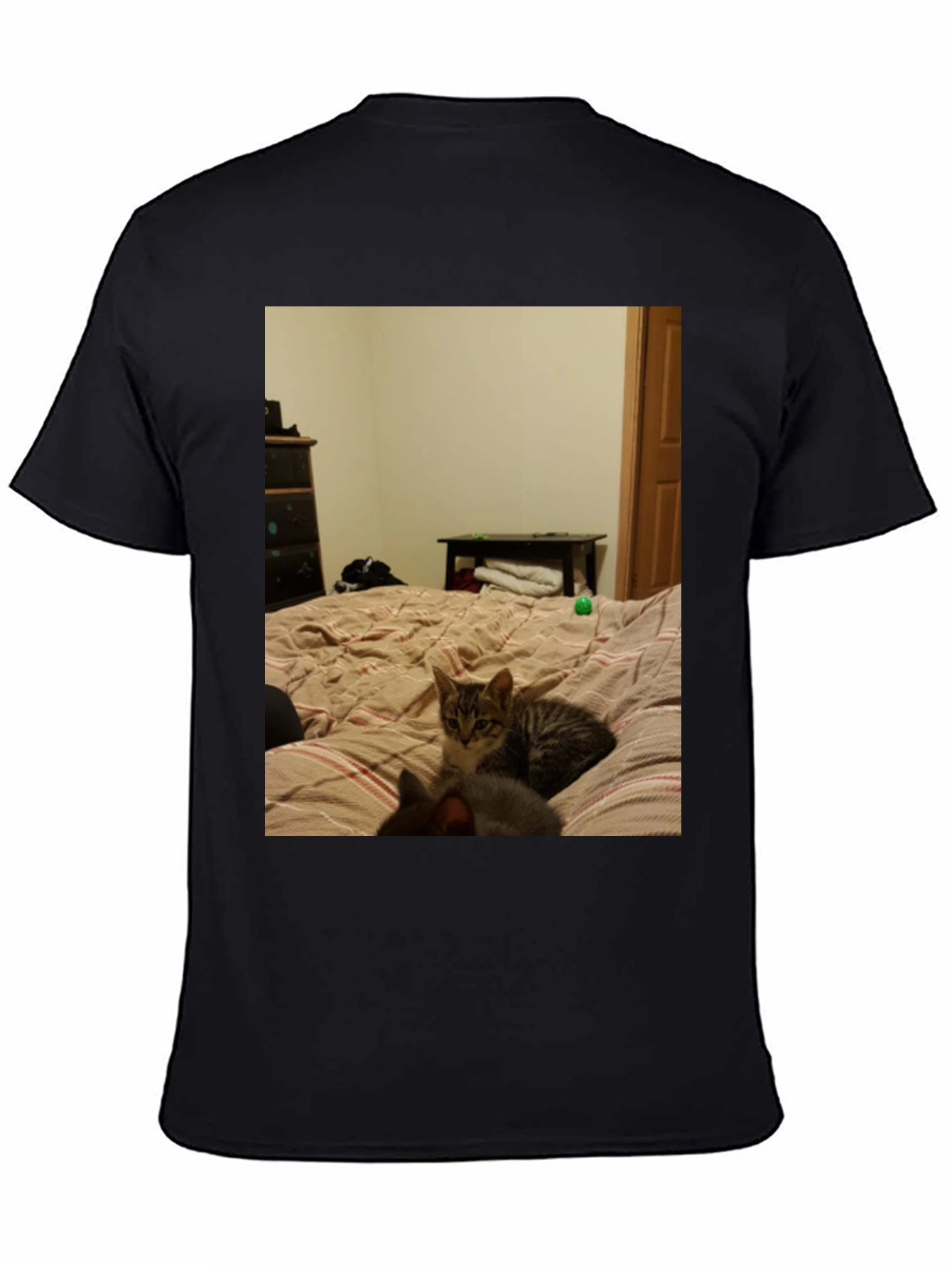 Cat Nap T-Shirt