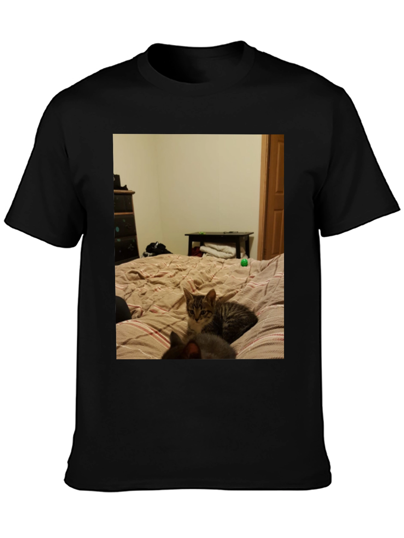 Cat Nap T-Shirt