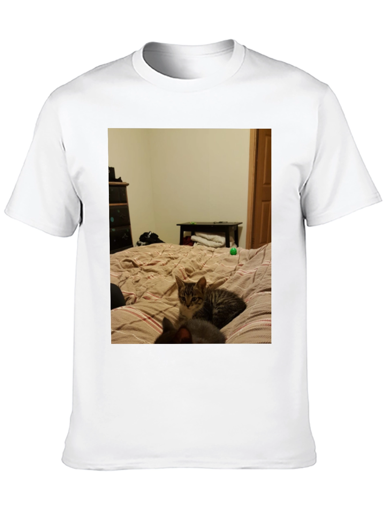 Cat Nap T-Shirt