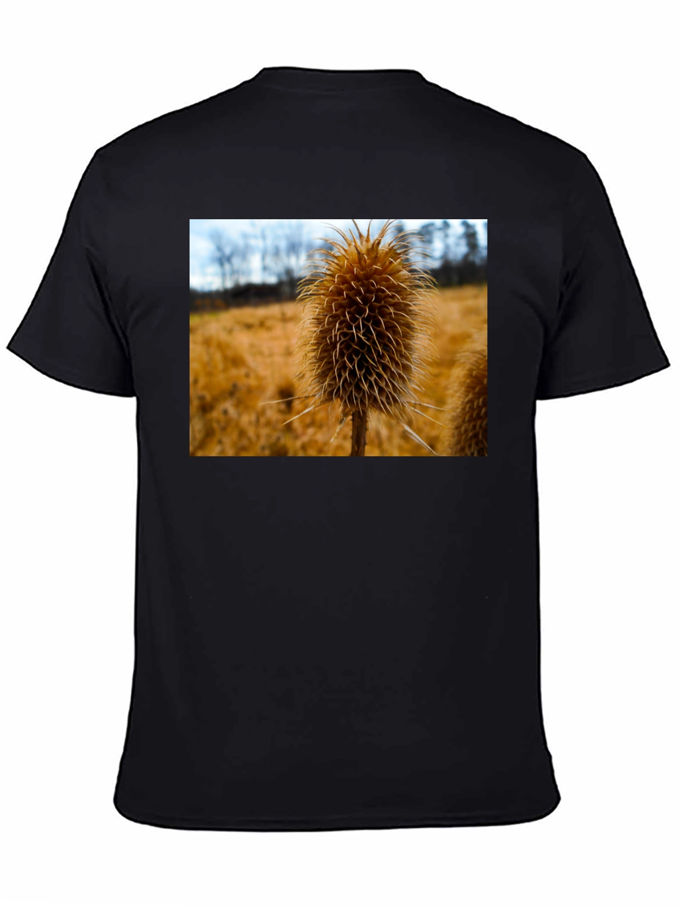 Teasel T-Shirt - Nature Inspired Design