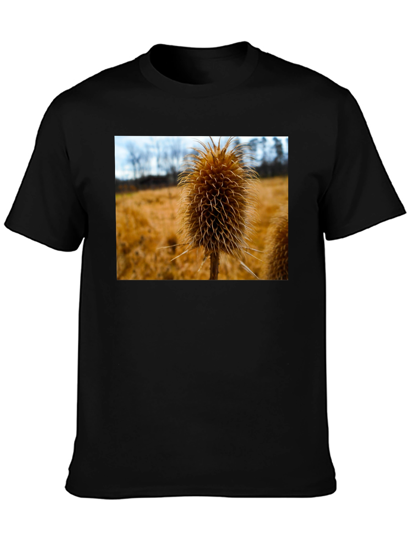 Teasel T-Shirt - Nature Inspired Design