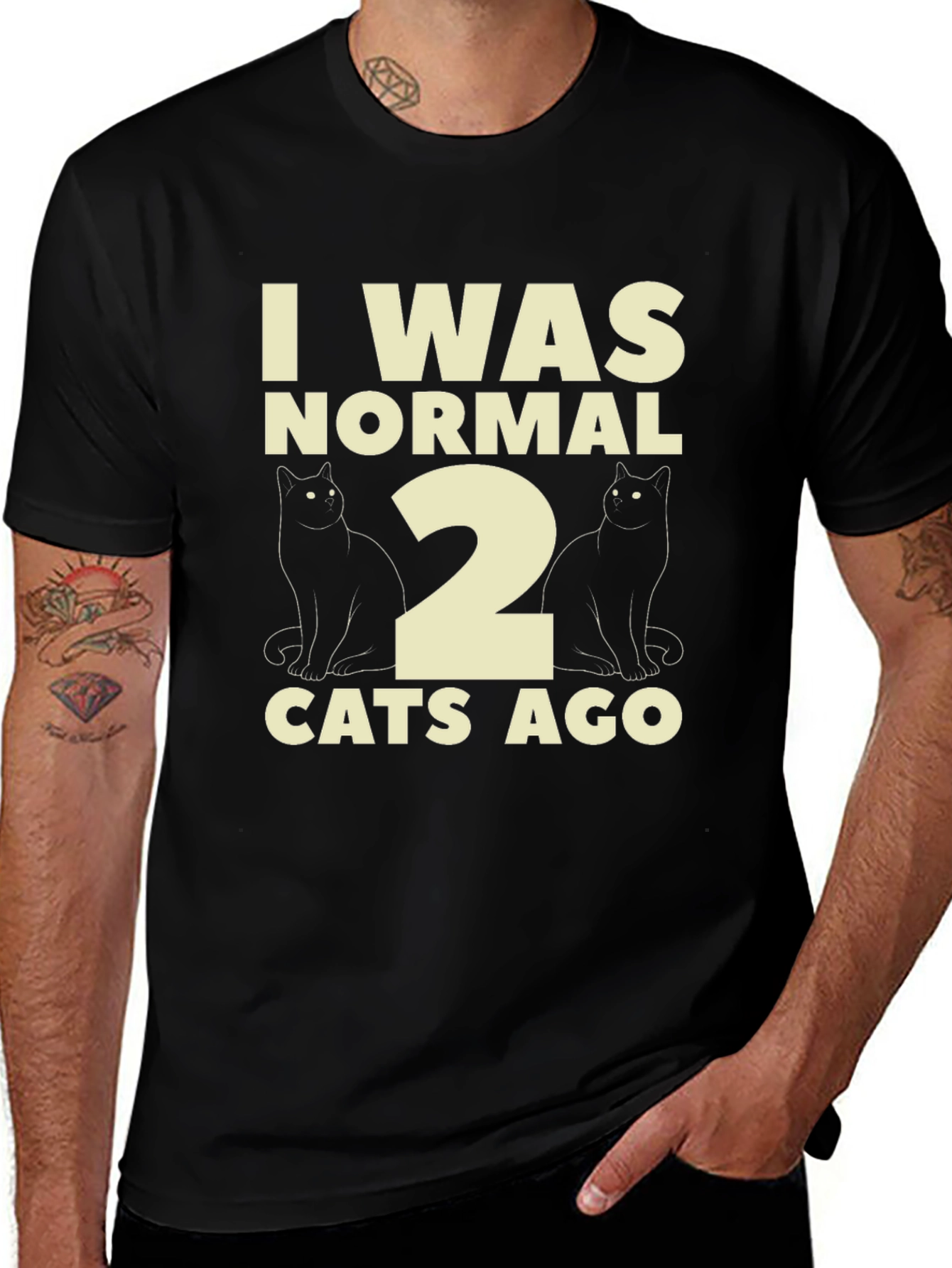 Funny I Was Normal 2 Cats Ago T-Shirt