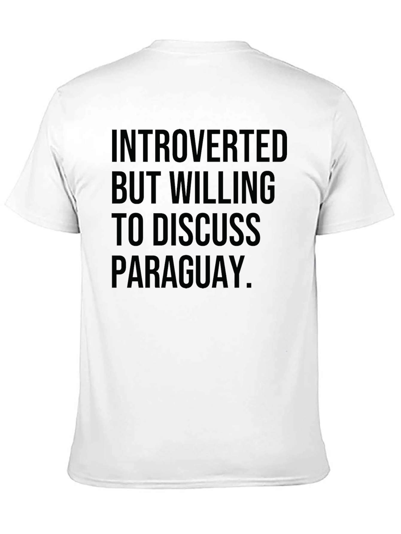 Introverted Paraguay T-Shirt - Funny Graphic Tee