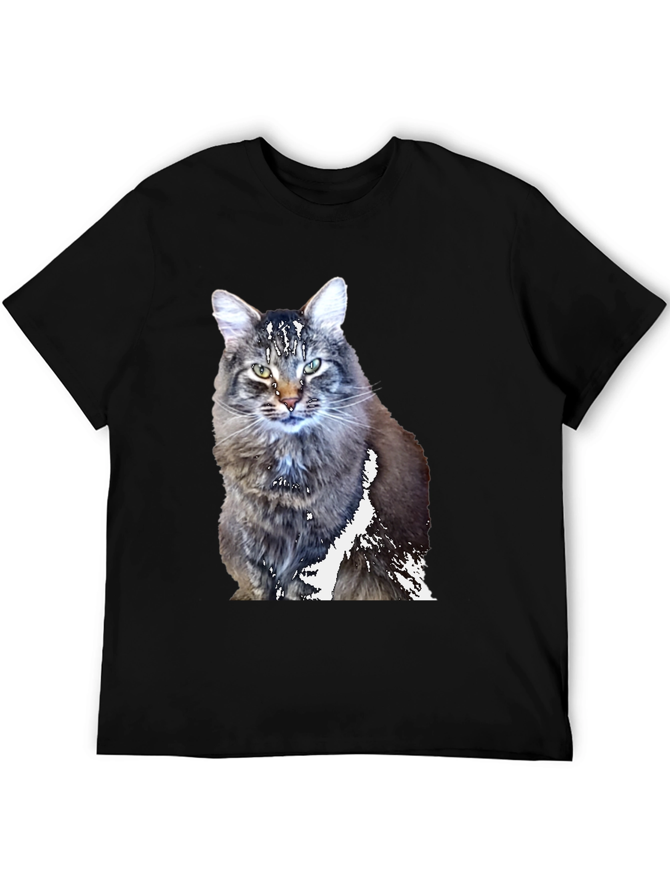 Cool Cat T-Shirt - Black