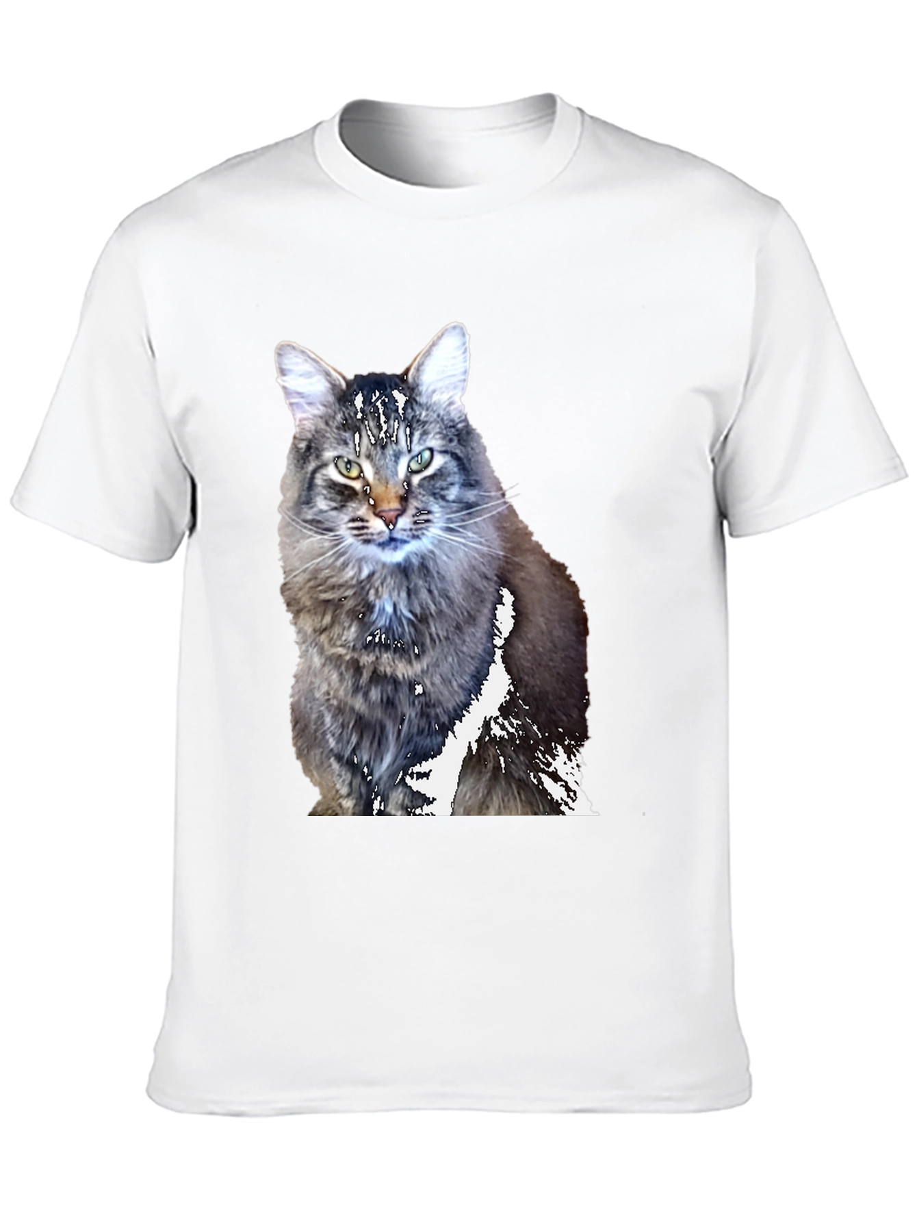 Cool Cat T-Shirt - Black