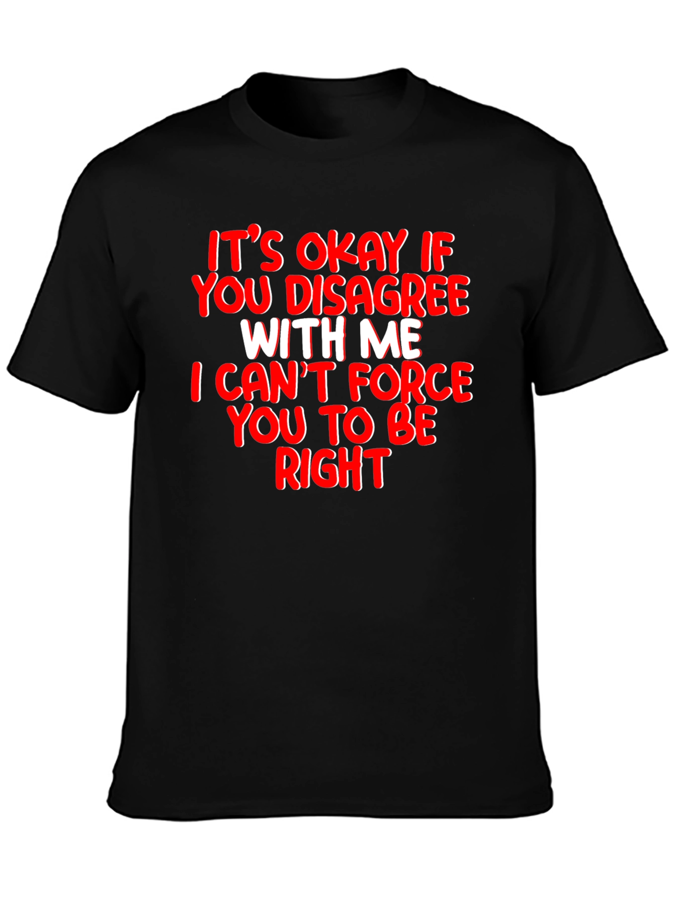 Funny Sarcastic T-Shirt - Its Okay to Disagree