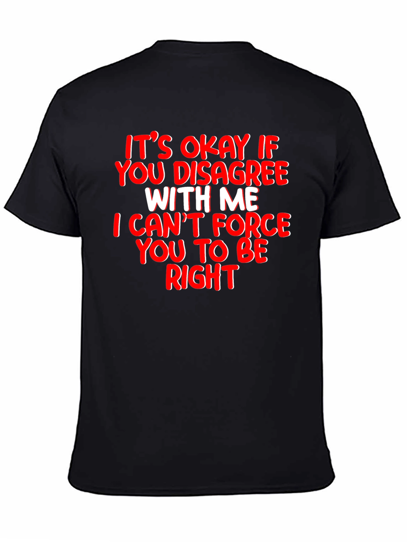 Funny Sarcastic T-Shirt - Its Okay to Disagree