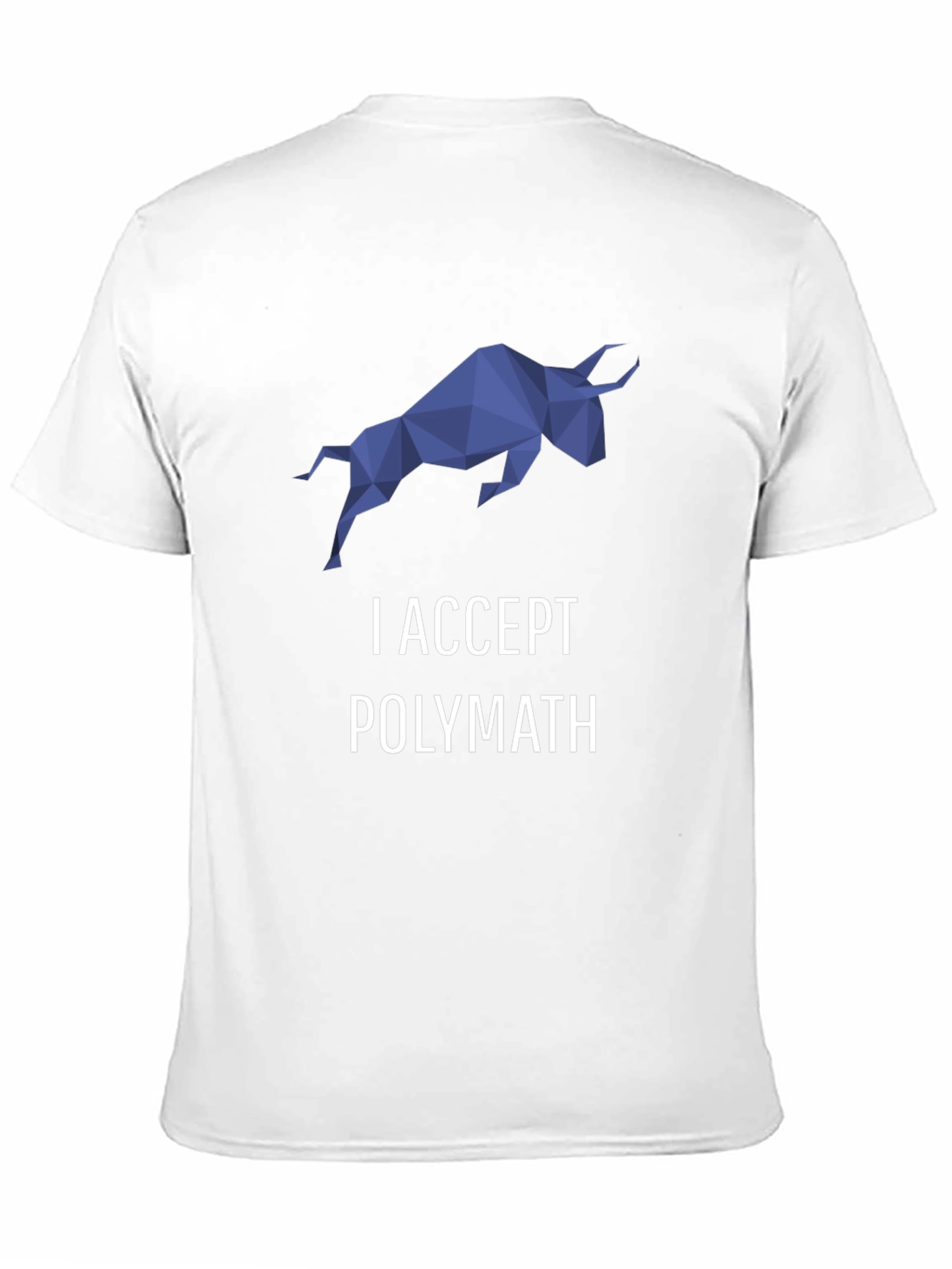 I Accept Polymath Graphic T-Shirt